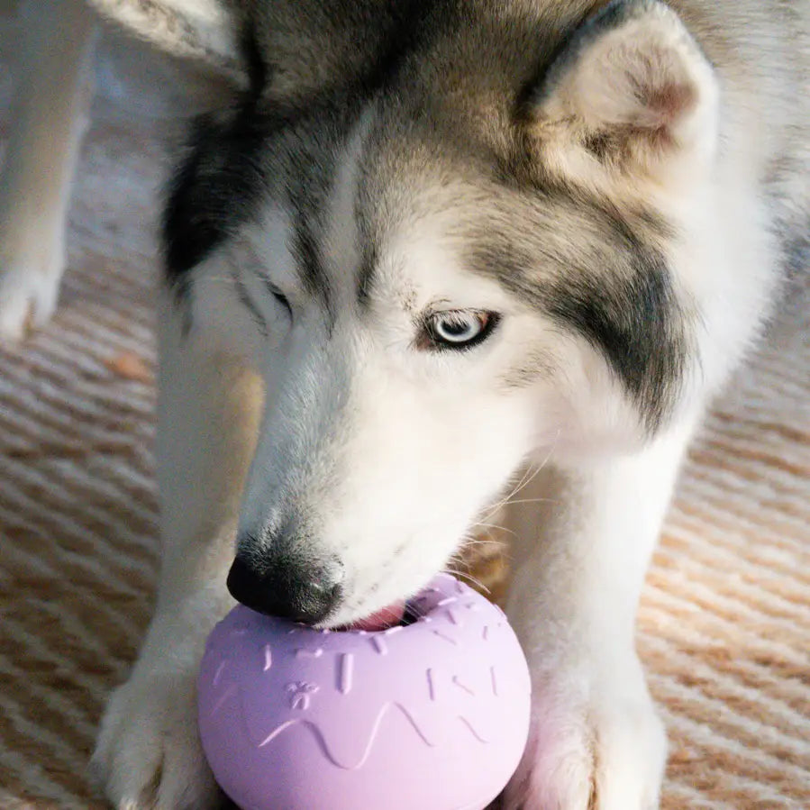 Yoomy Donut Enrichment Toy | Lavender