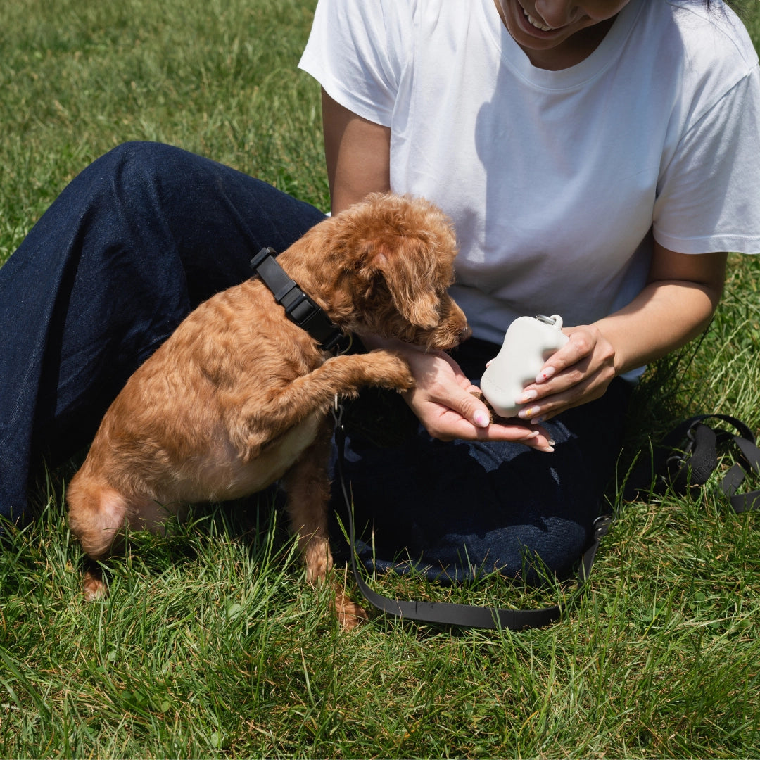 Silicone Dog Treat Dispenser - Oat