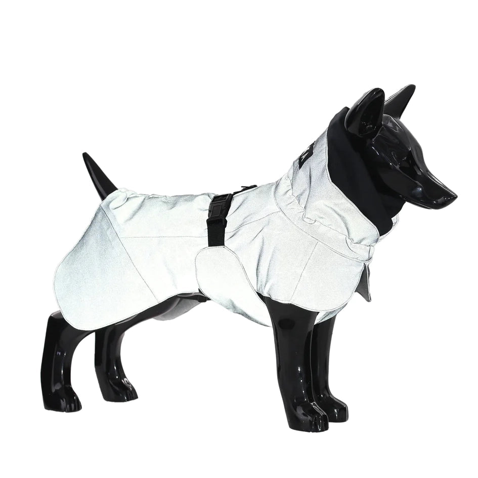 Visibility Winter Jacket - Dark