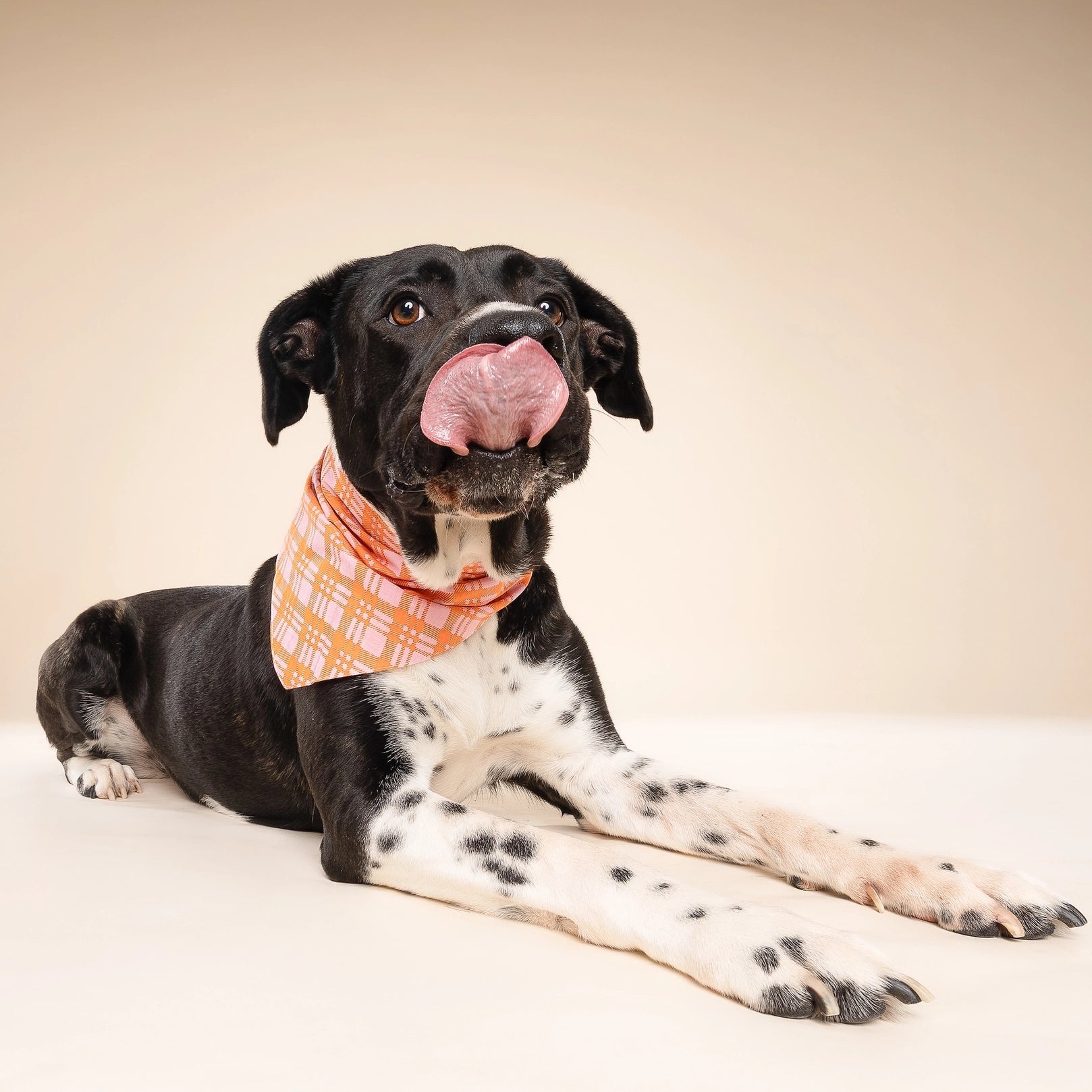 Stevie Plaid Bandana
