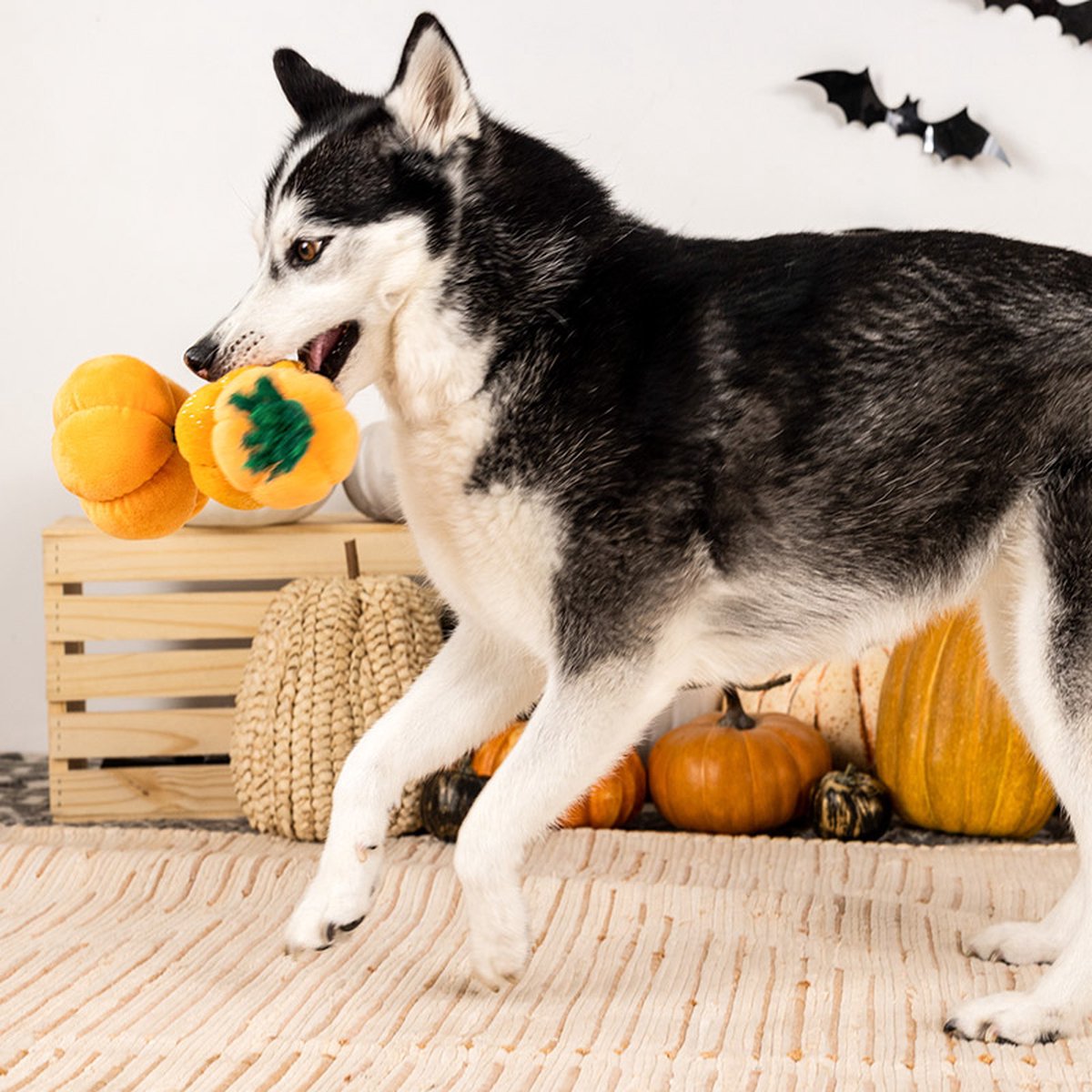 Stack-O-lantern