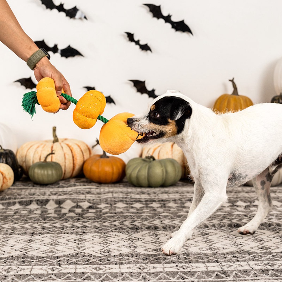 Stack-O-lantern