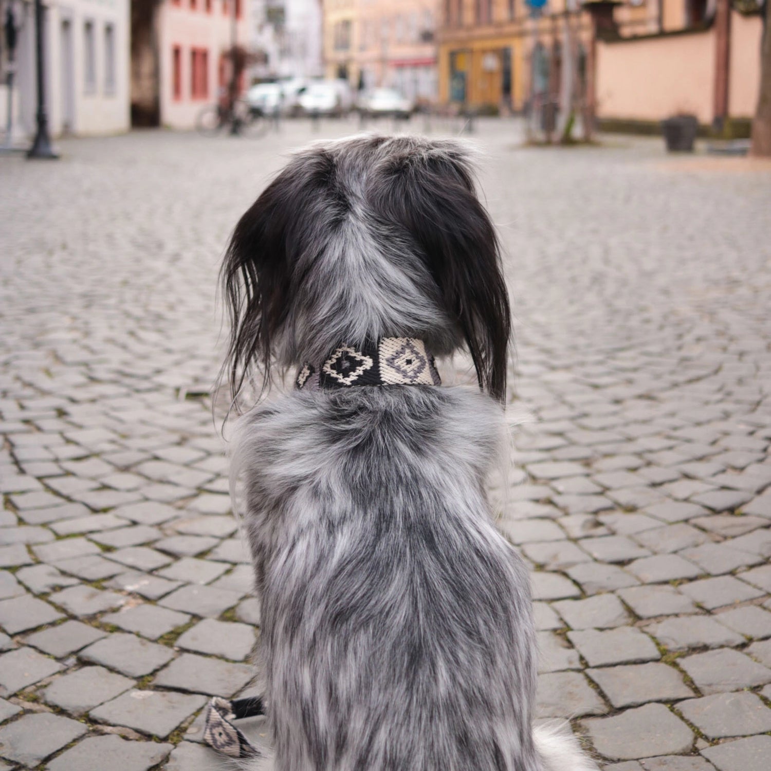 Peruvian Black Indian Leash