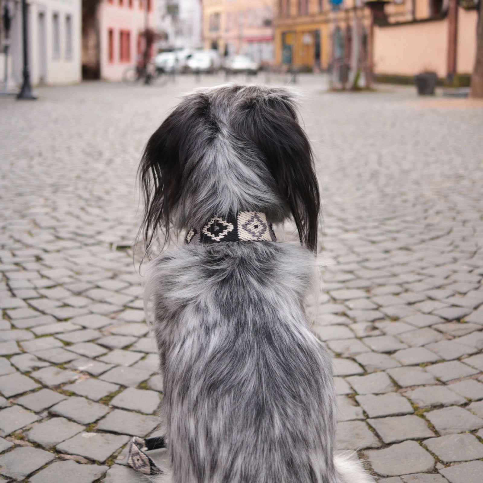 Peruvian Black Indian Leash