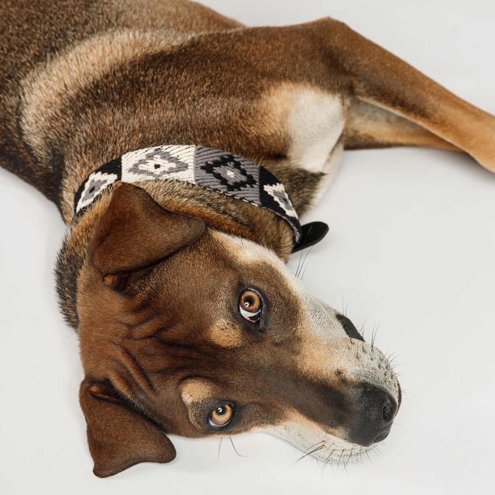 Peruvian Black Indian Collar
