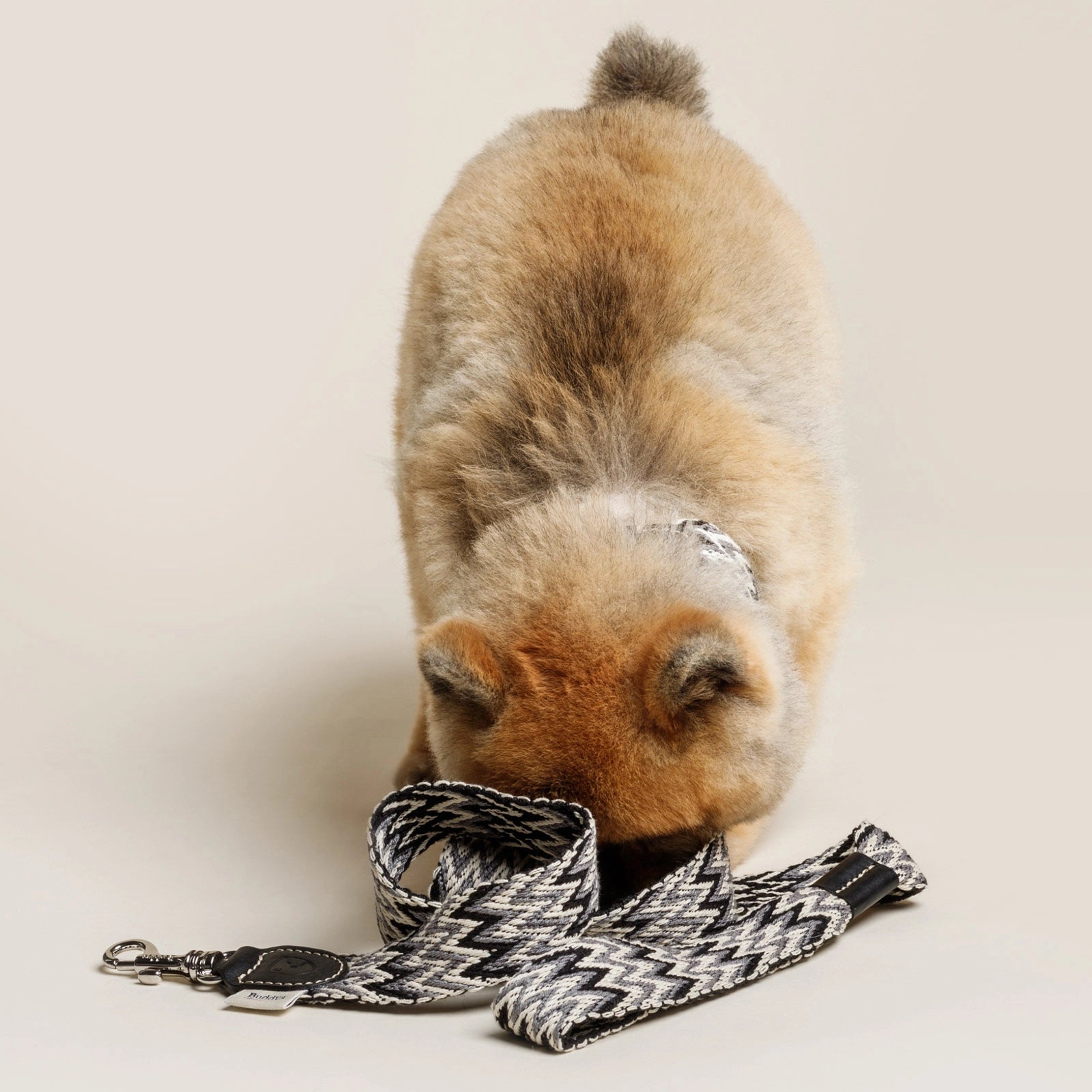Peruvian Black Adjustable Leash