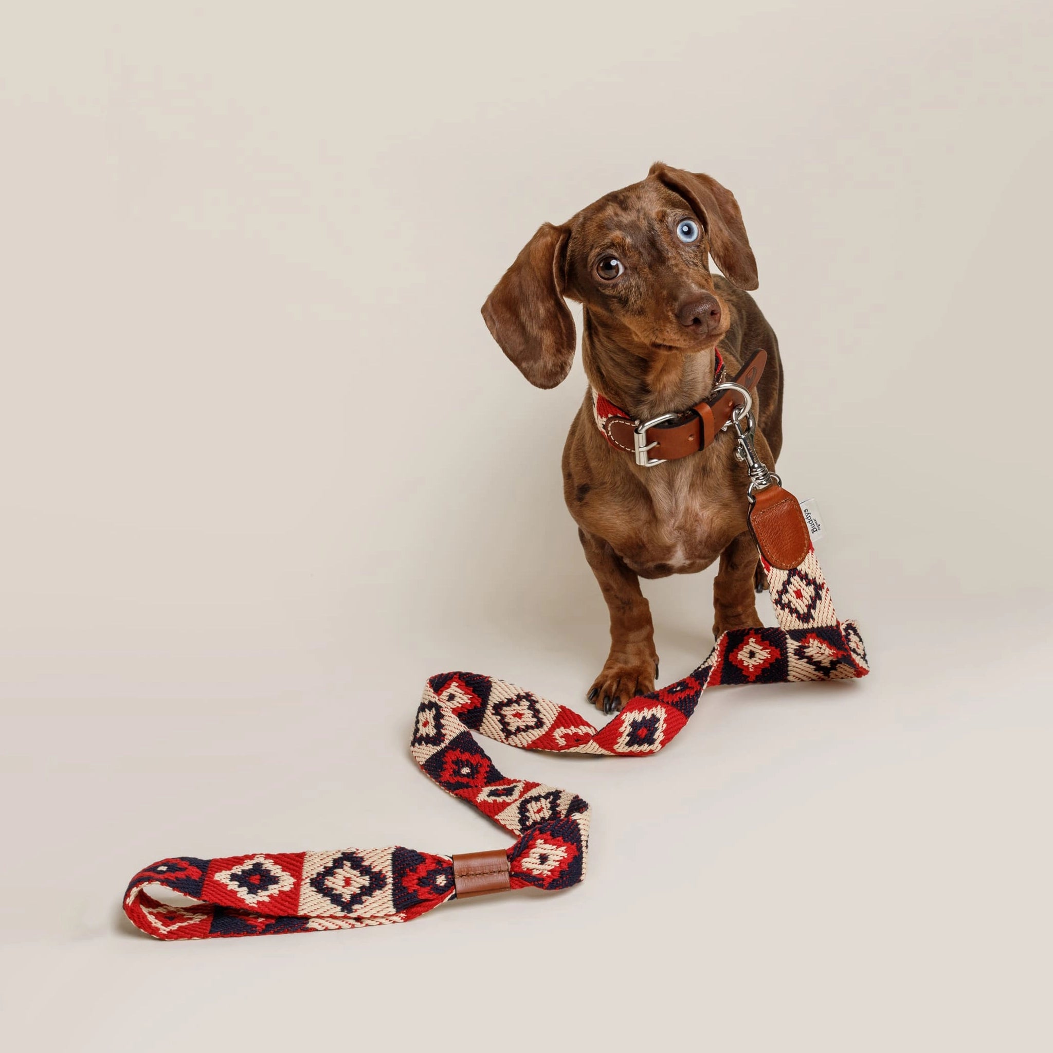 Peruvian Red Indian Leash