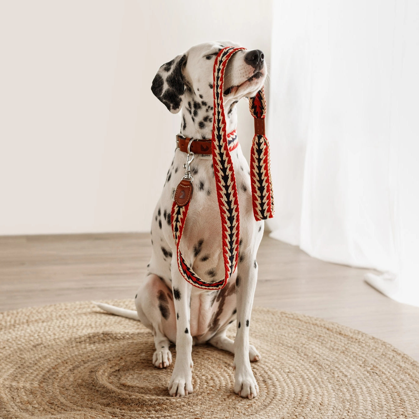 Peruvian Red Arrow Leash