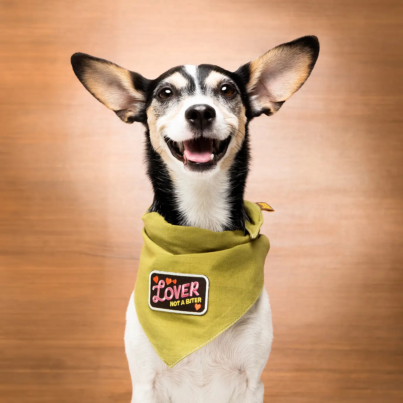 Lover not a Biter Badge