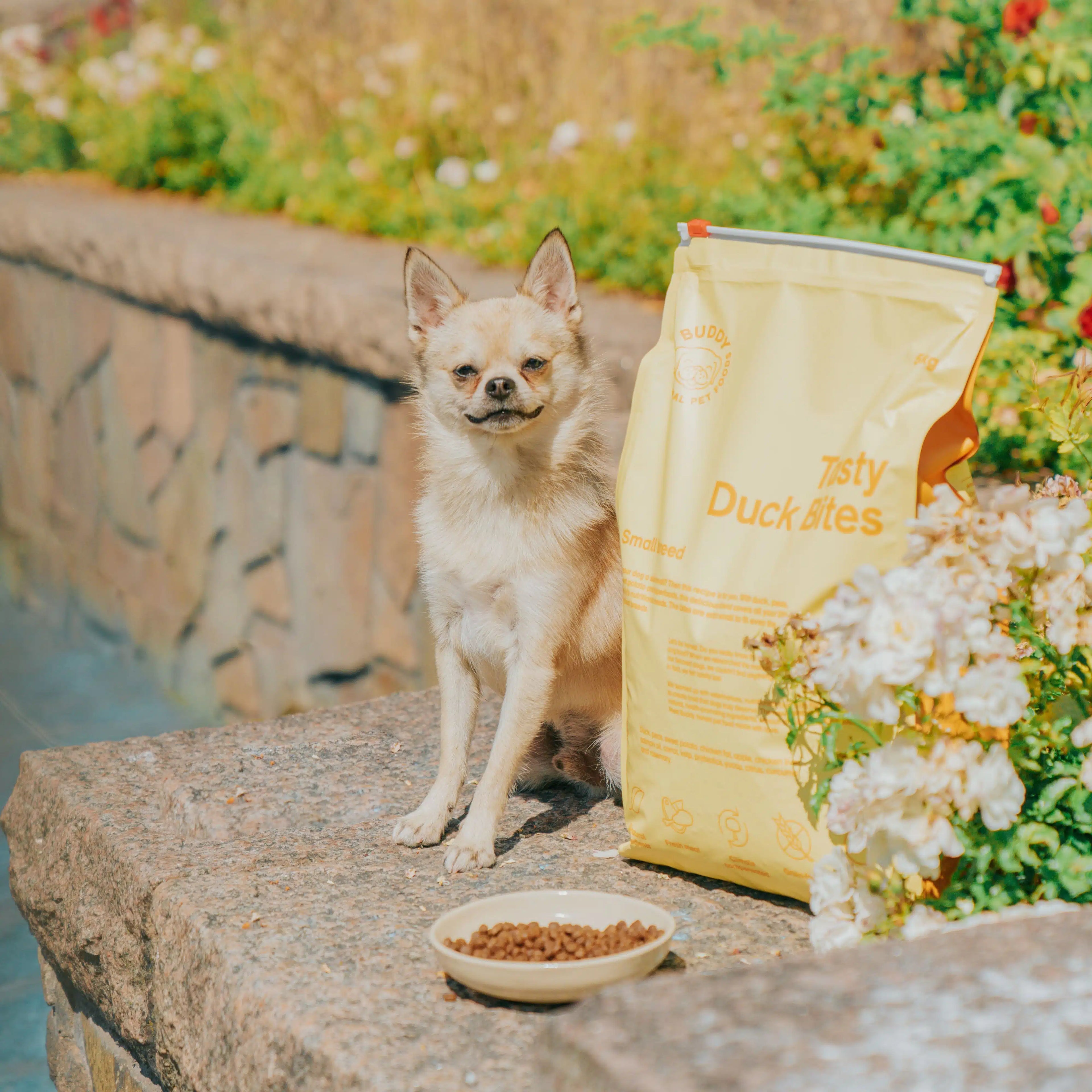 Tasty Duck Bites|Small Breed|Dog Kibble|100% Grain Free Dog Food