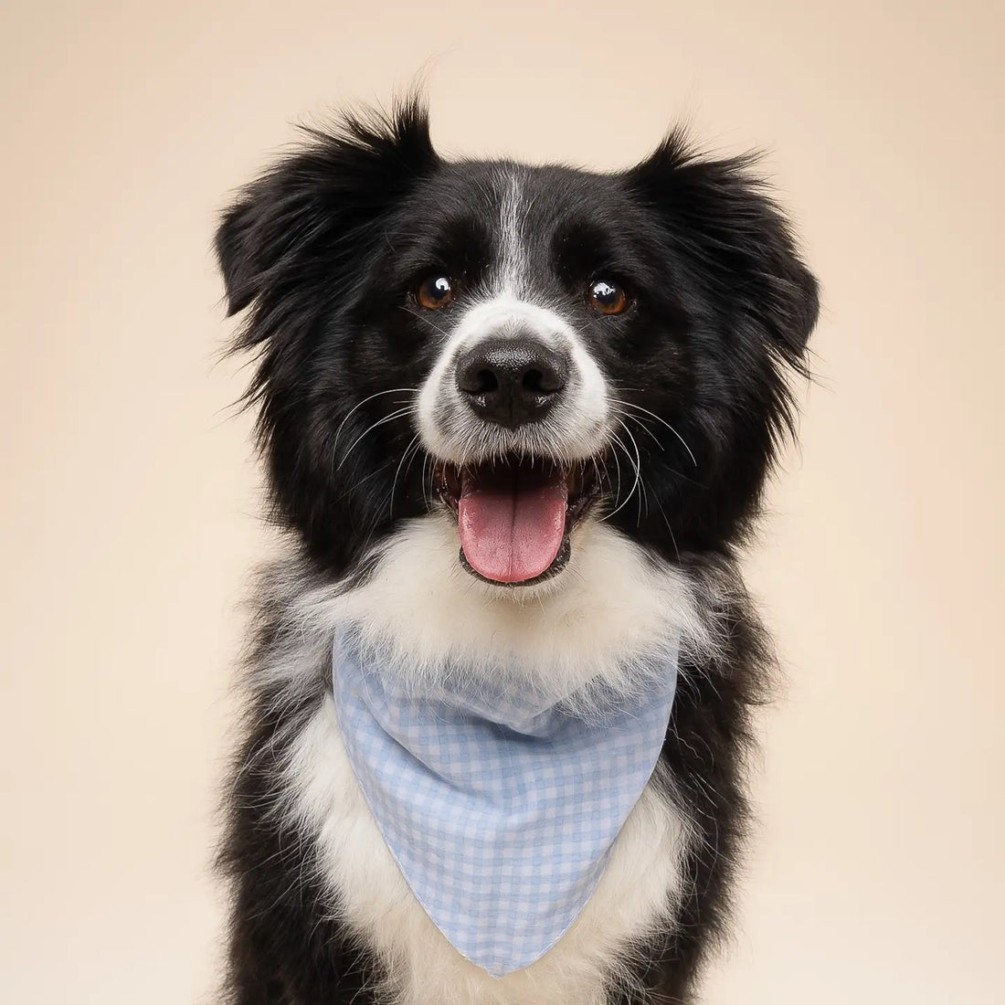 Baby Blue Gingham Bandana