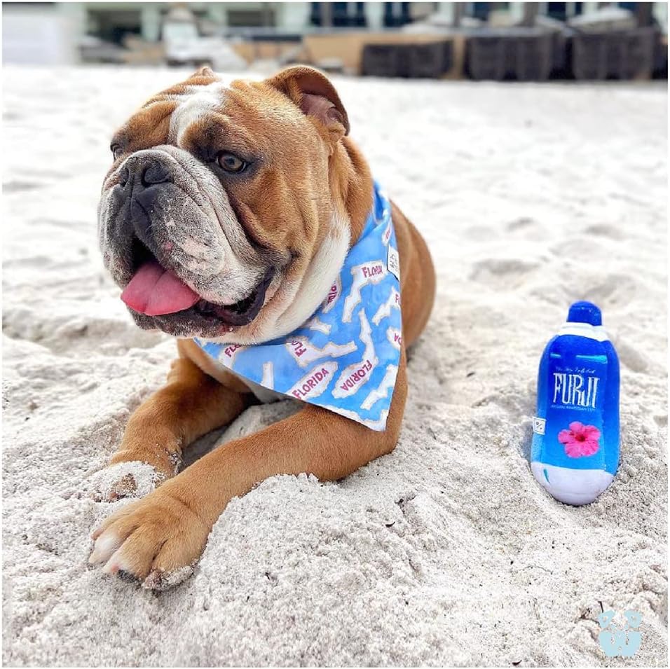 Furji Water