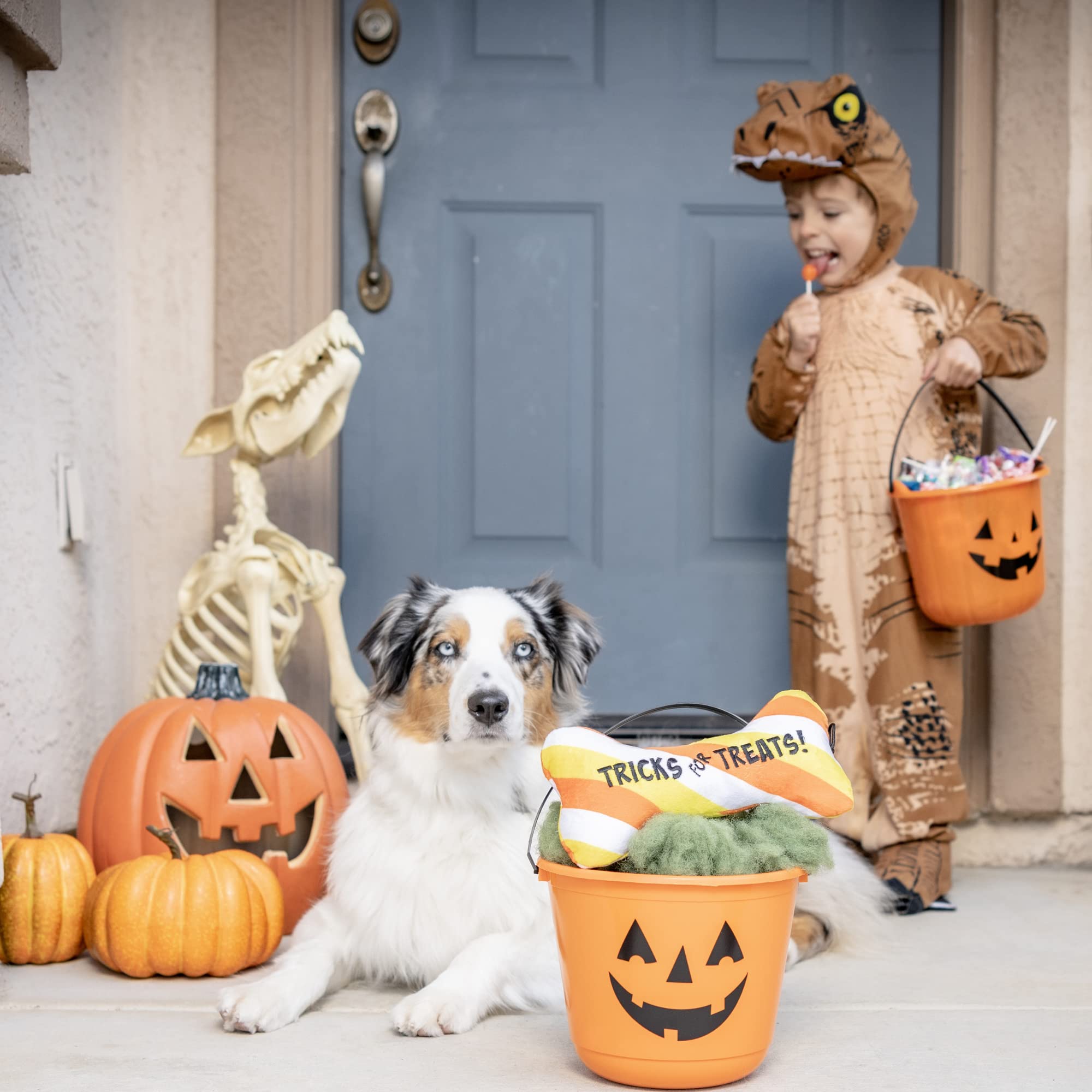 Tricks for Treats Bone