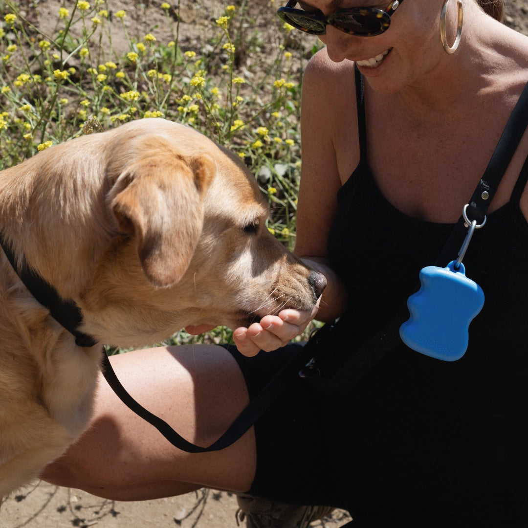 Silicone Dog Treat Dispenser - Blueberry