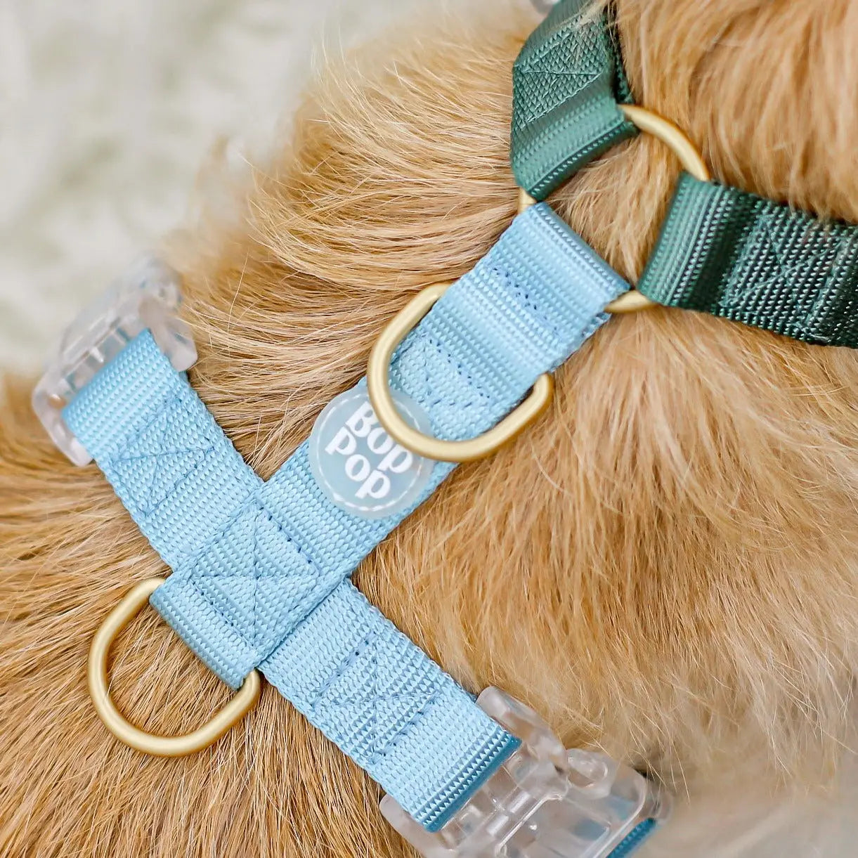 Dog Harness - Hunter Sky