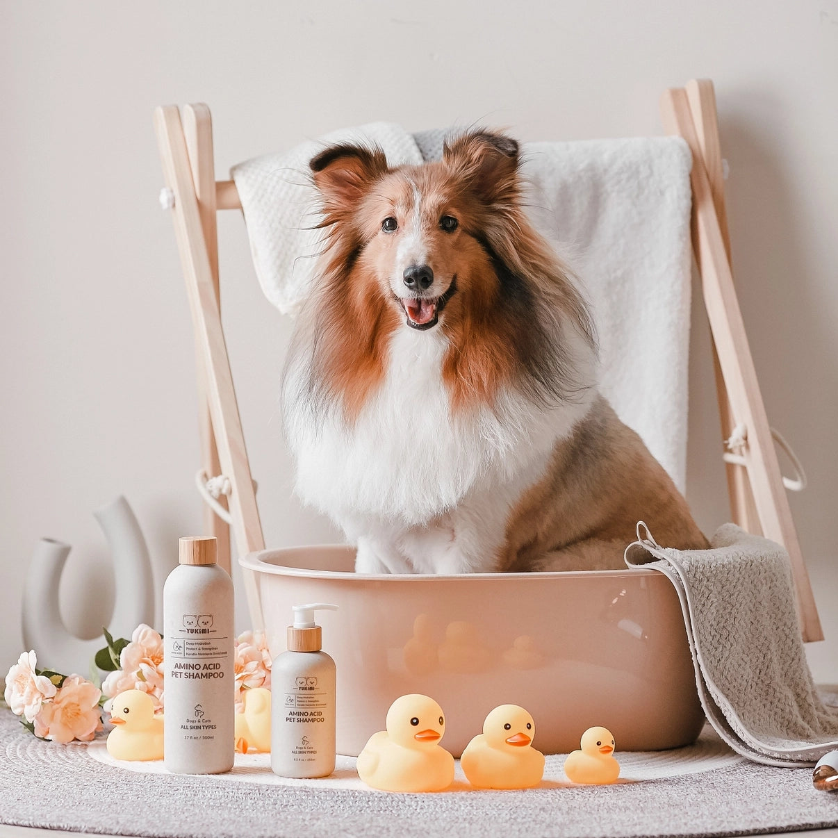 Amino Acid Pet Shampoo