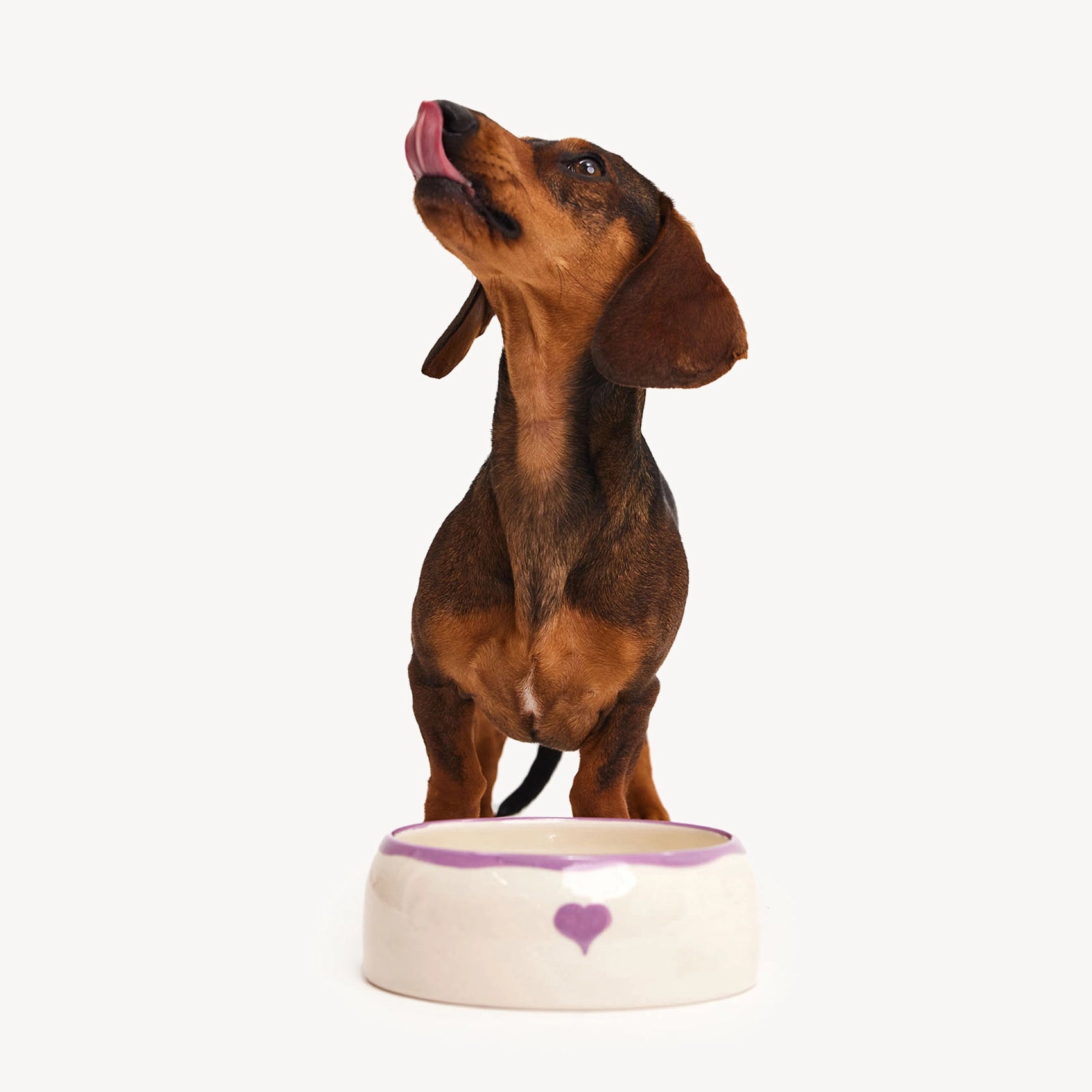 Heart Bowl - Purple