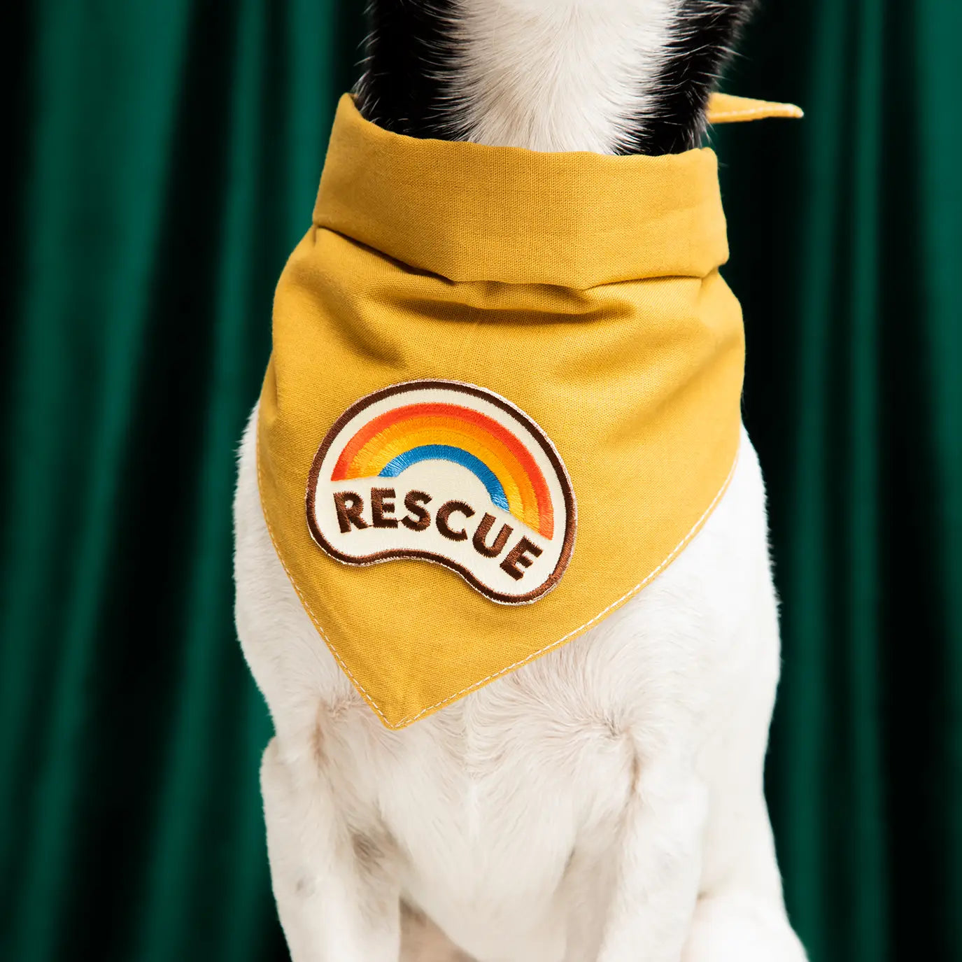 Rescue Badge