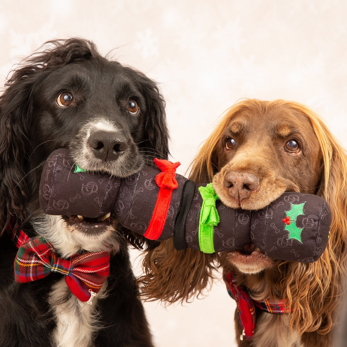 Festive Cracker