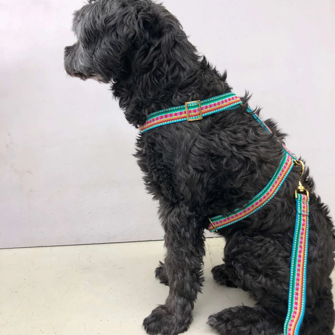 Harness Ibiza - Mint