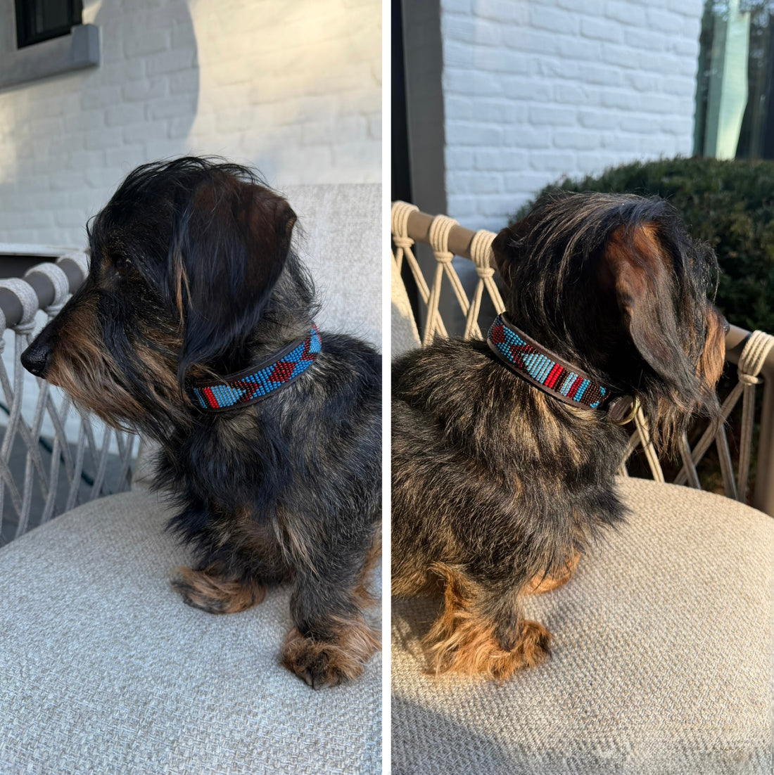 Beaded Dog Collar - Bowie