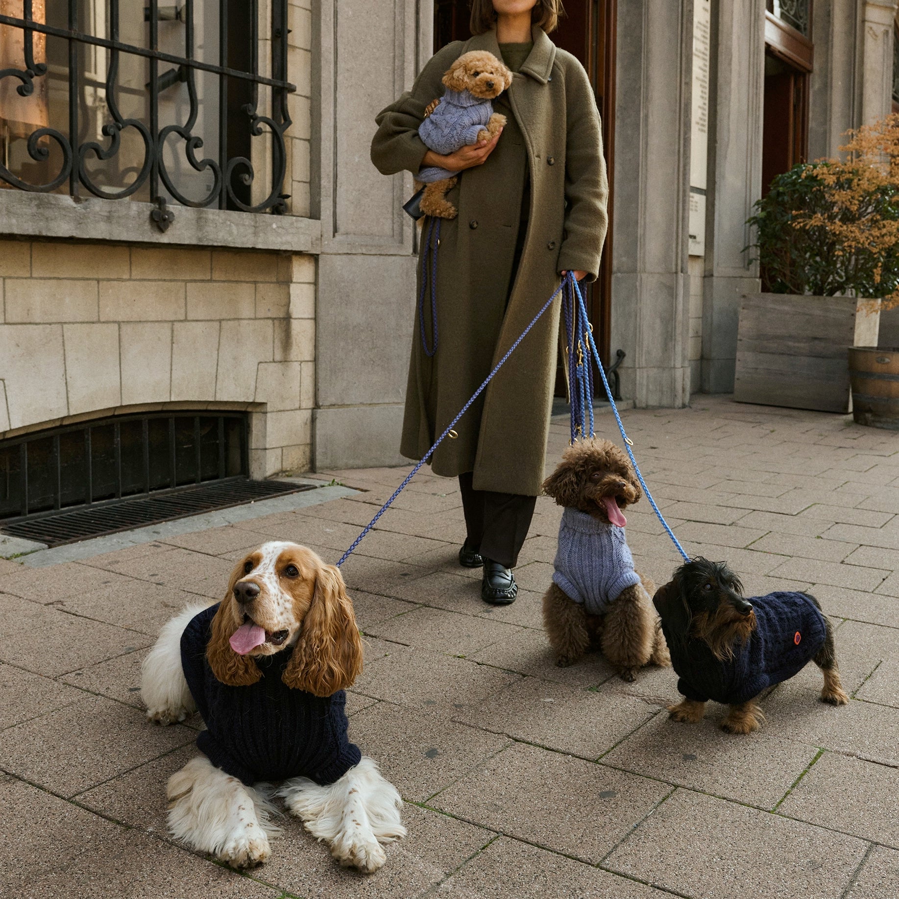 Bold - Bowie Blue 💙