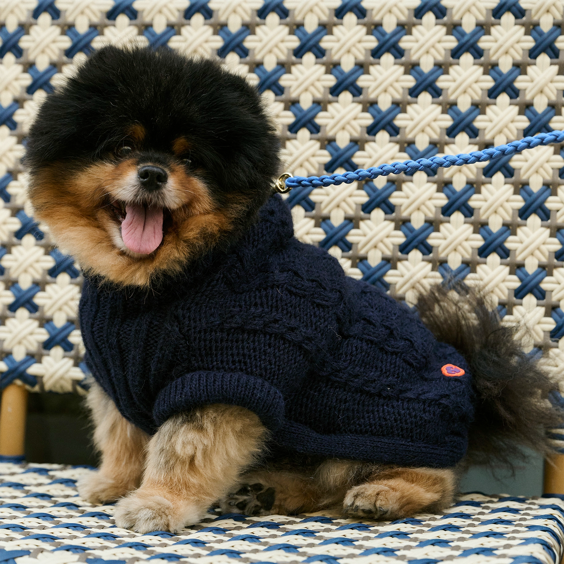 Bold - Bowie Blue 💙