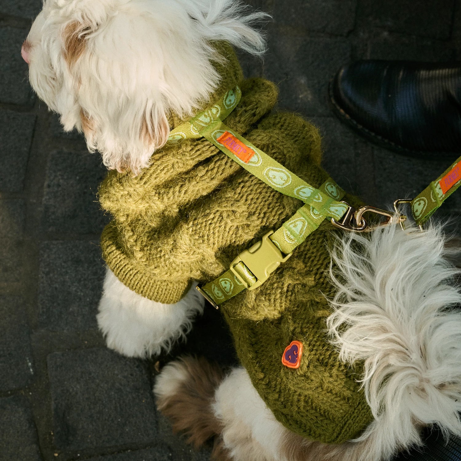 Bold - Honest John Green