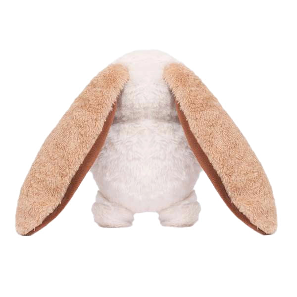 Hoppin Floppy Bunny