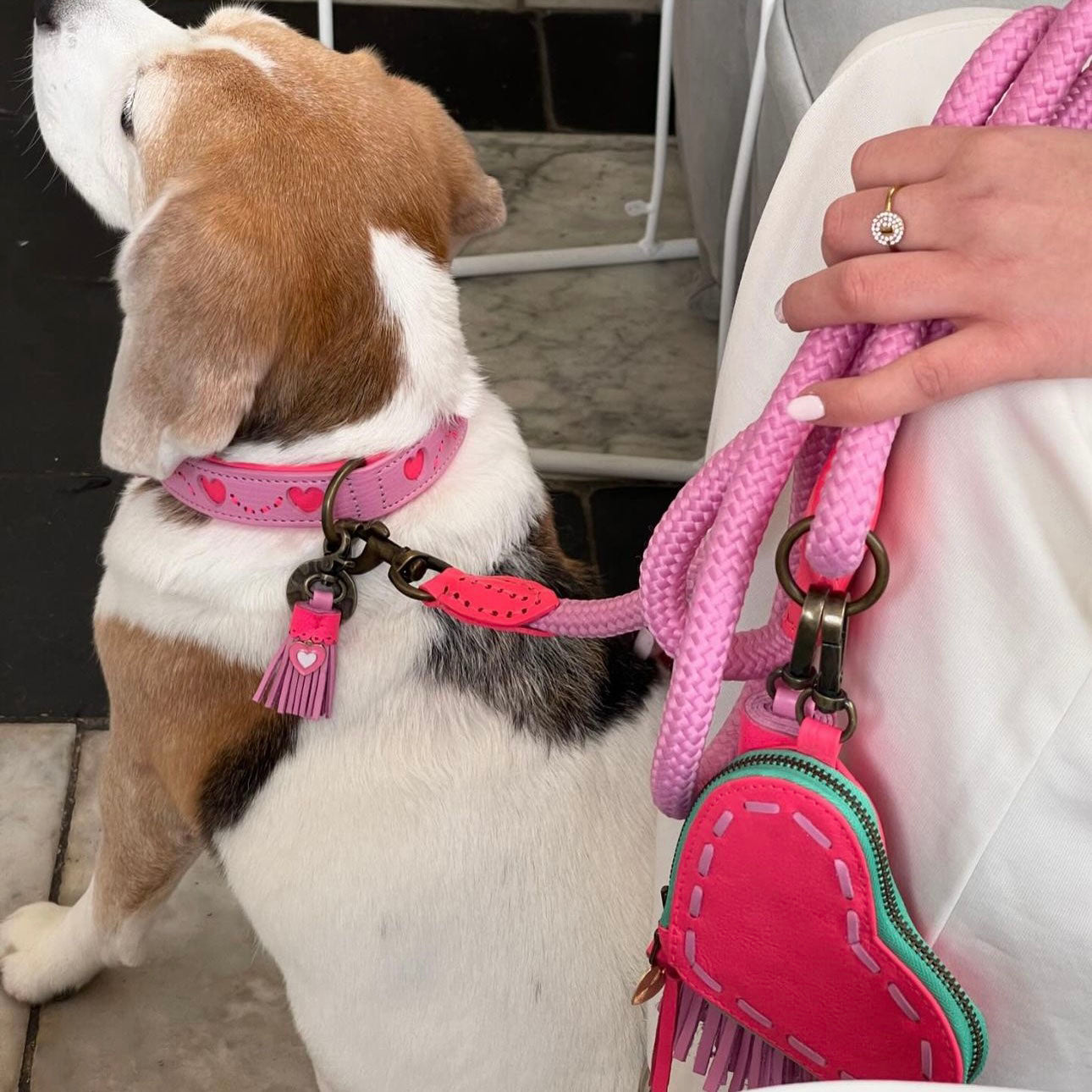 Sweety Dog Leash