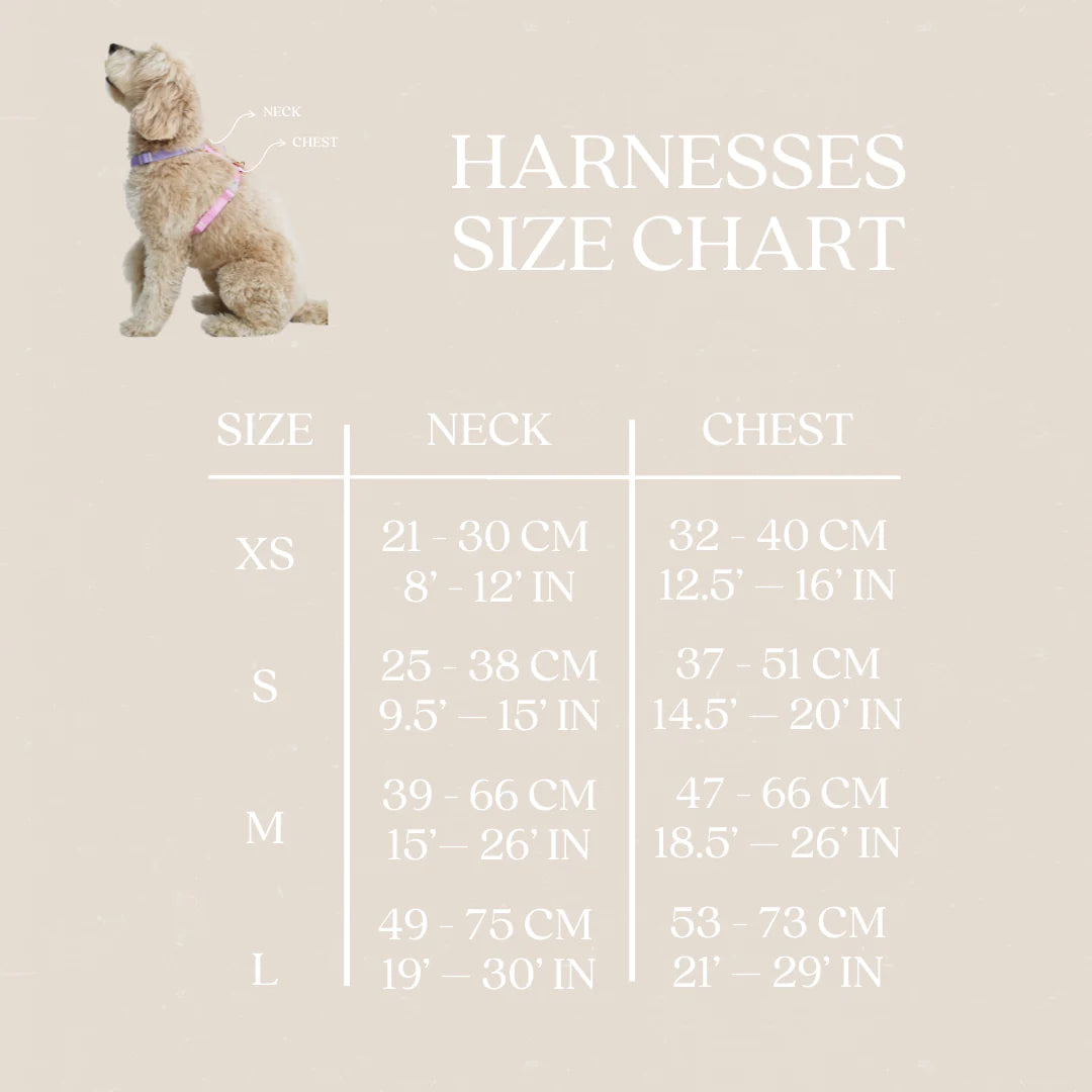 Dog Harness - Padded Coral