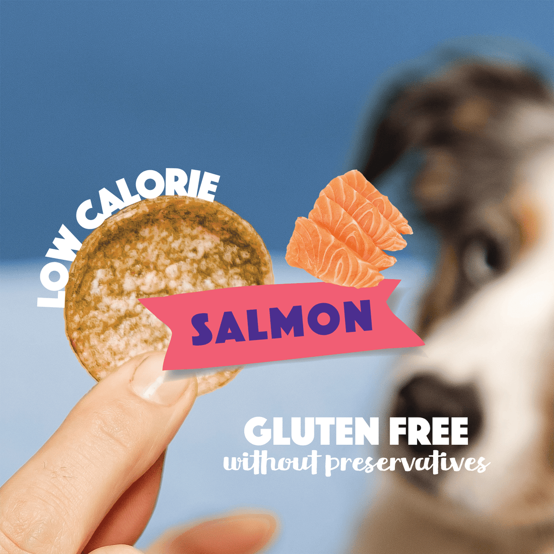 Dog Pops | Salmon