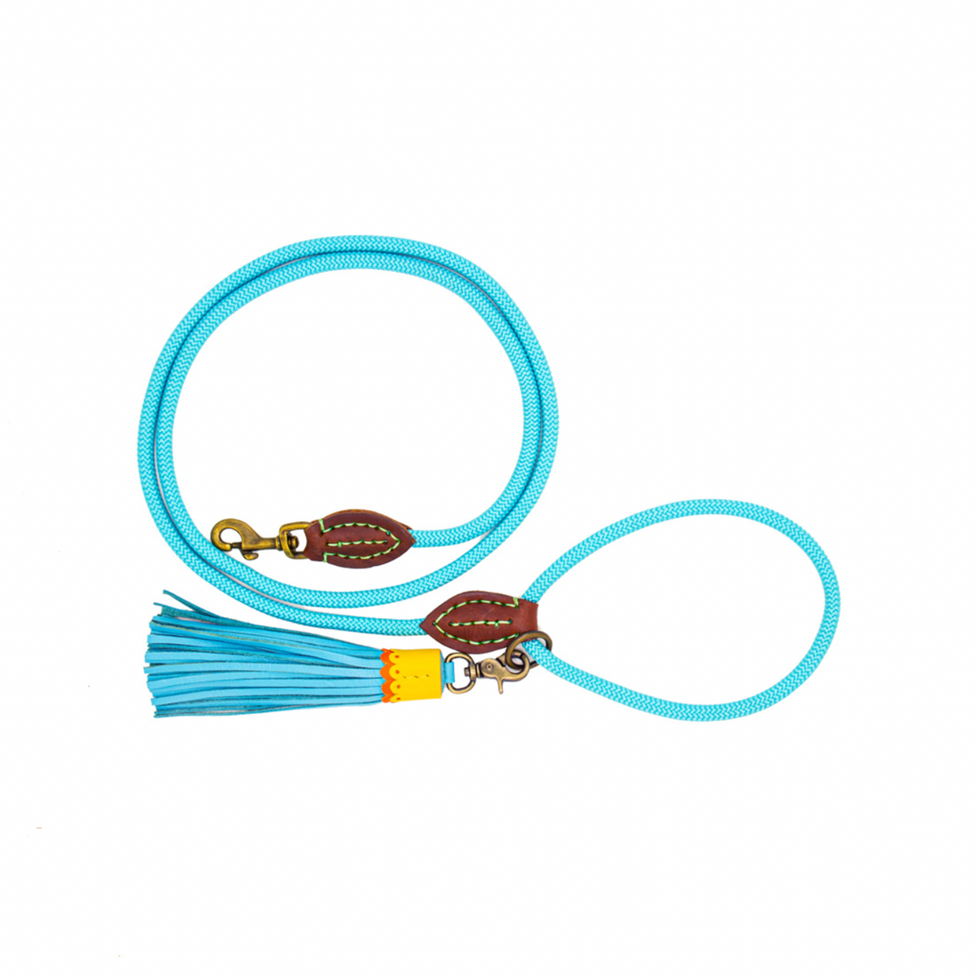 Blues Dog Leash