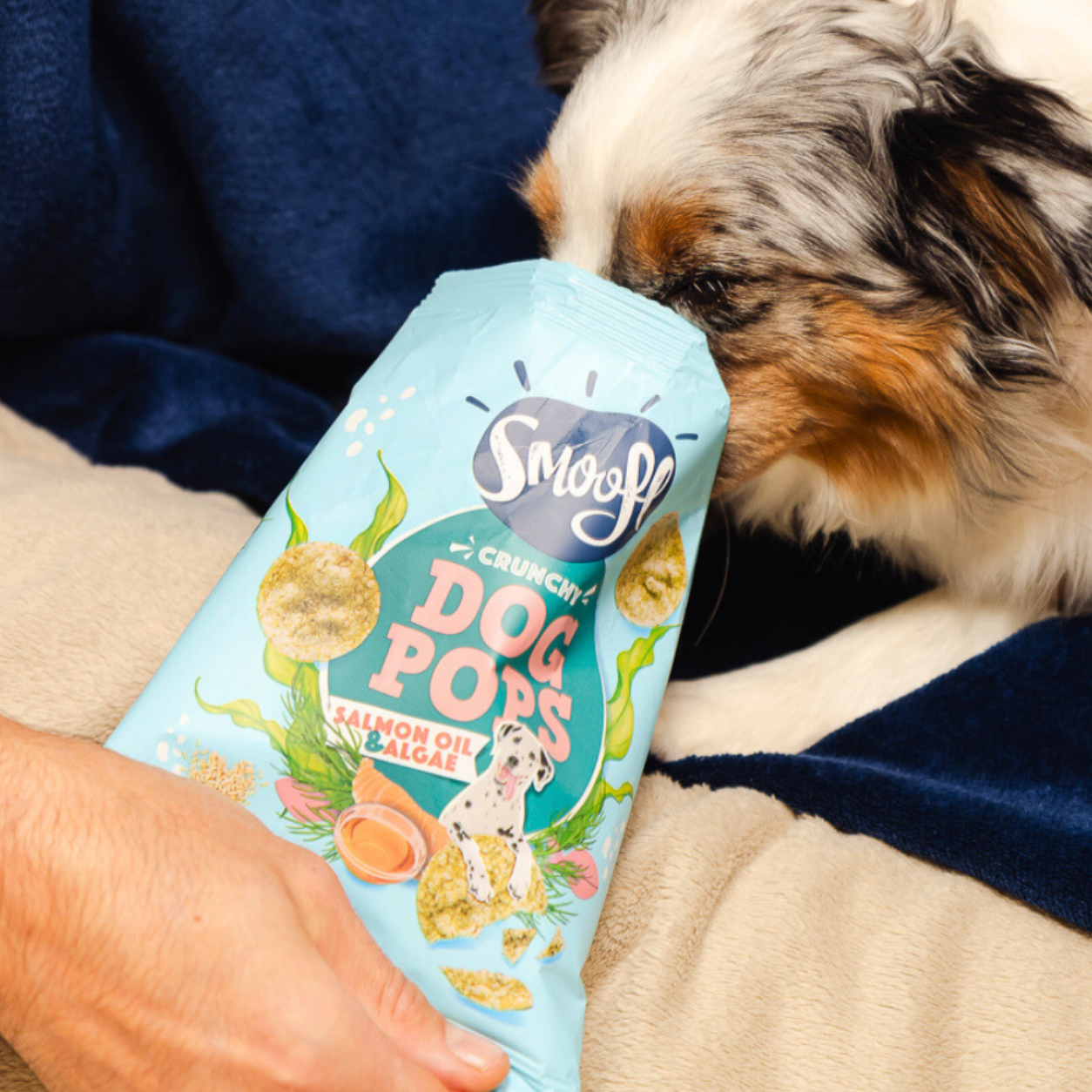Dog Pops | Salmon & Algae