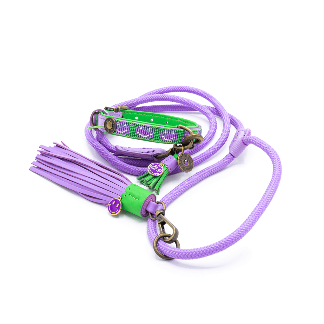 Purple Rain Dog Leash