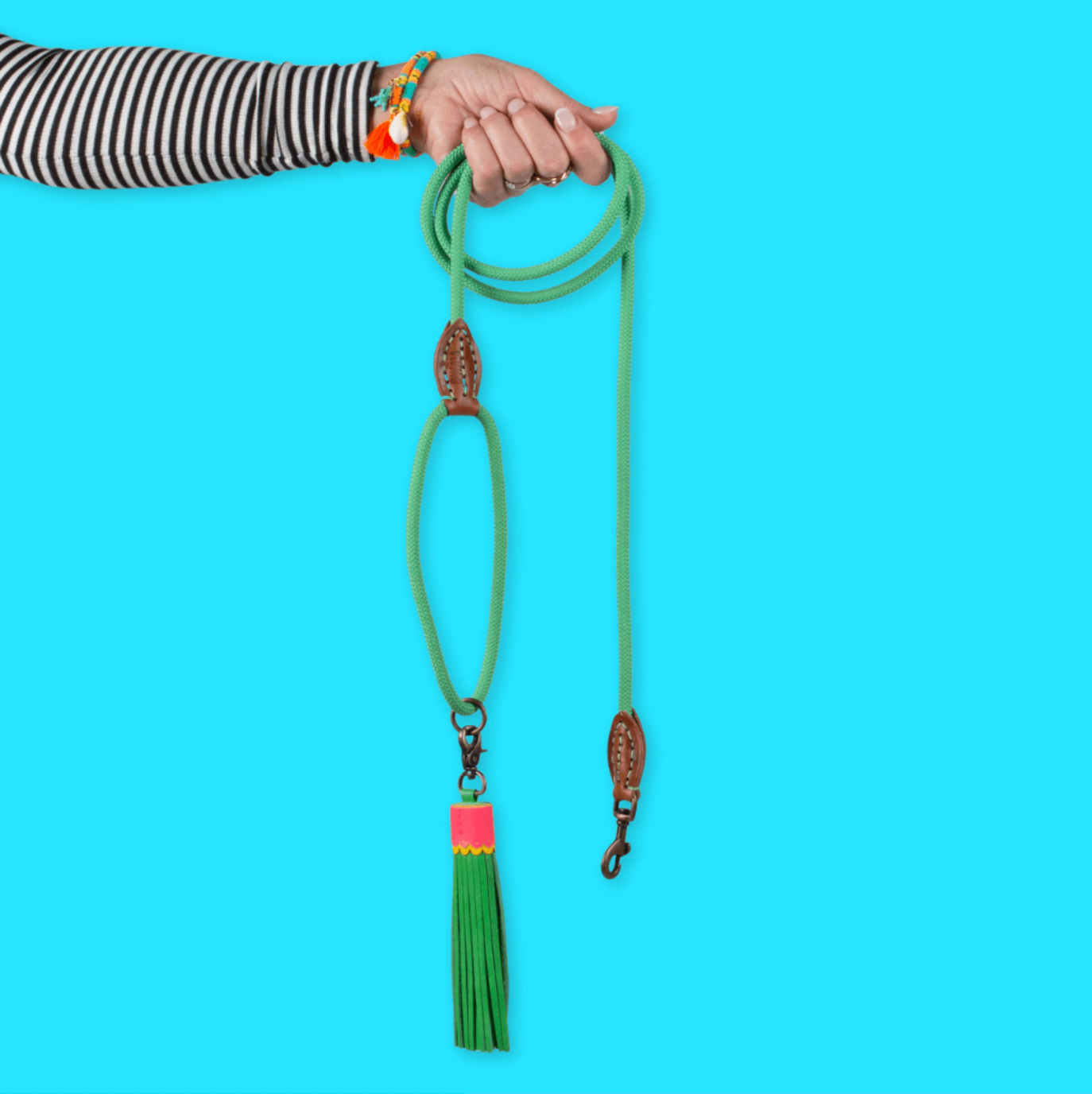Apple Pie Dog Leash