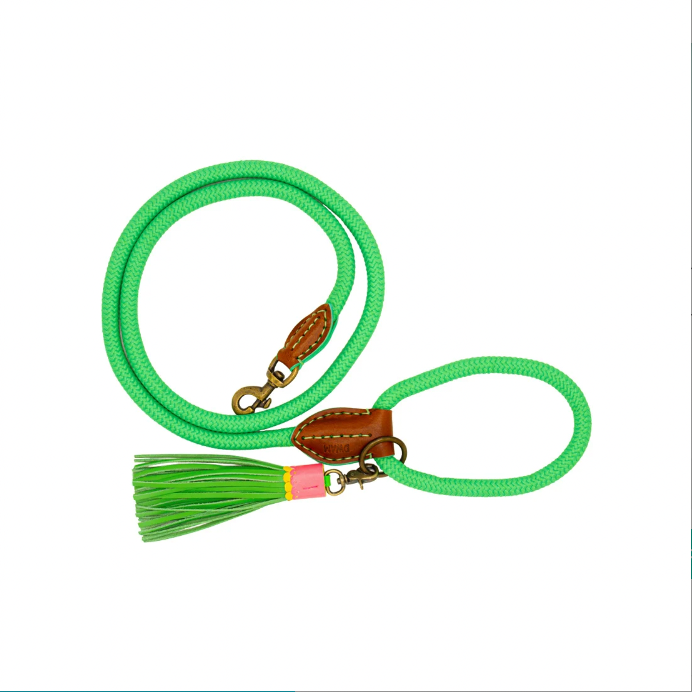 Apple Pie Dog Leash