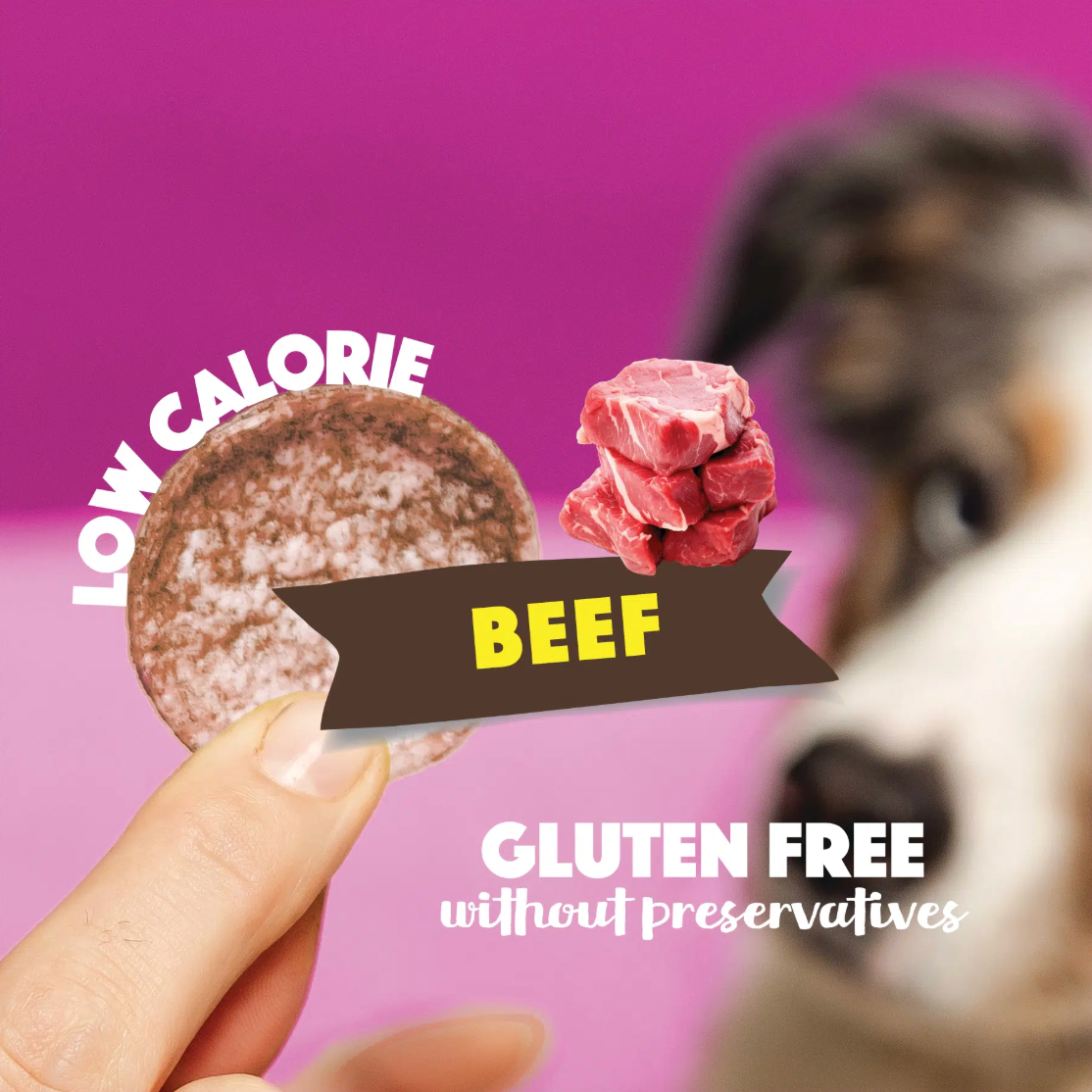 Dog Pops | Beef
