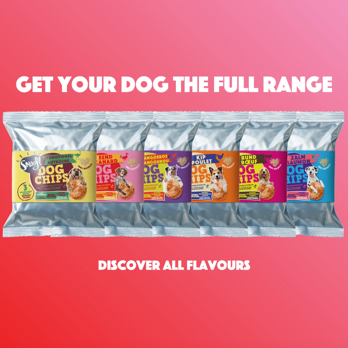 Dog Pops | Duck