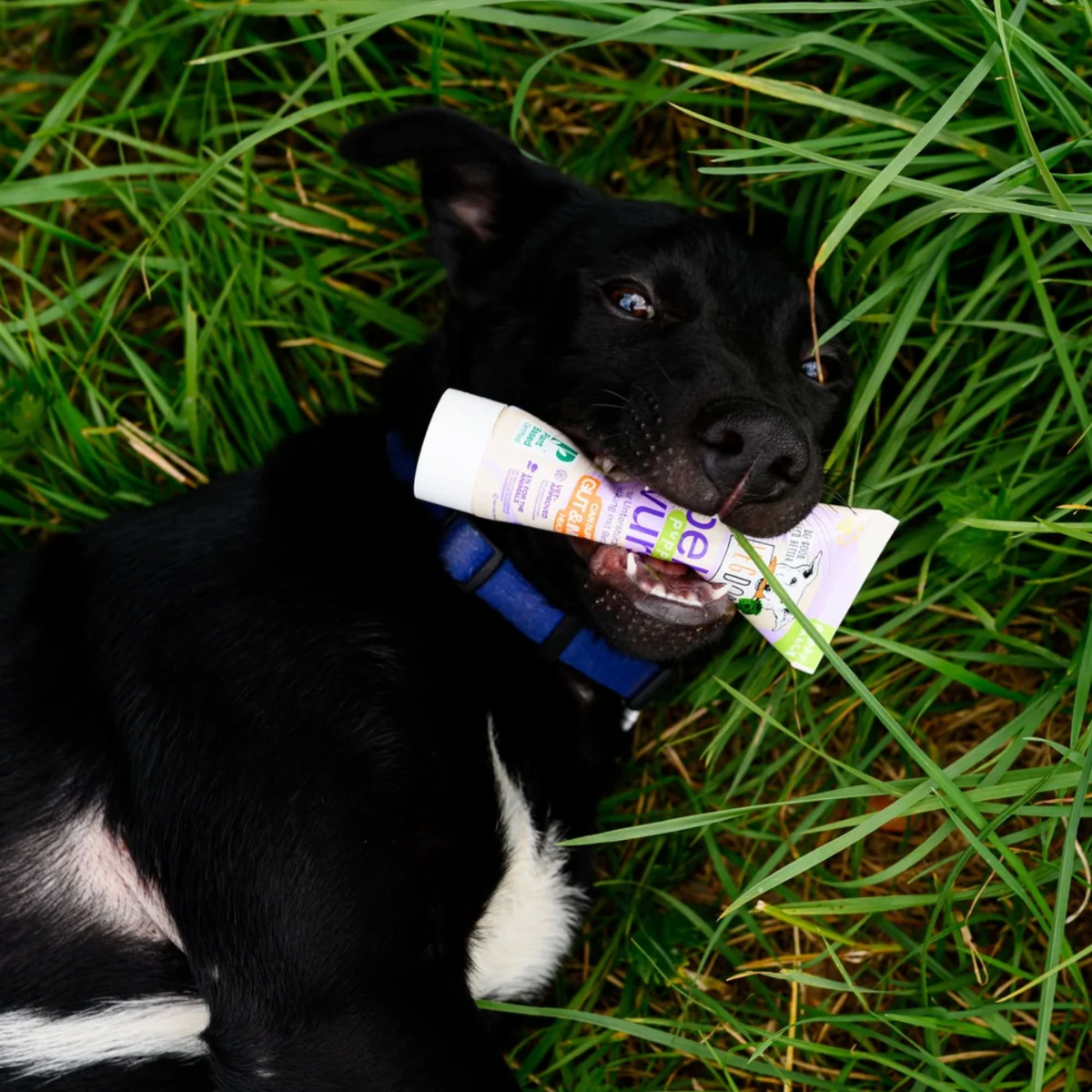 VEGDOG - Belly Sausage