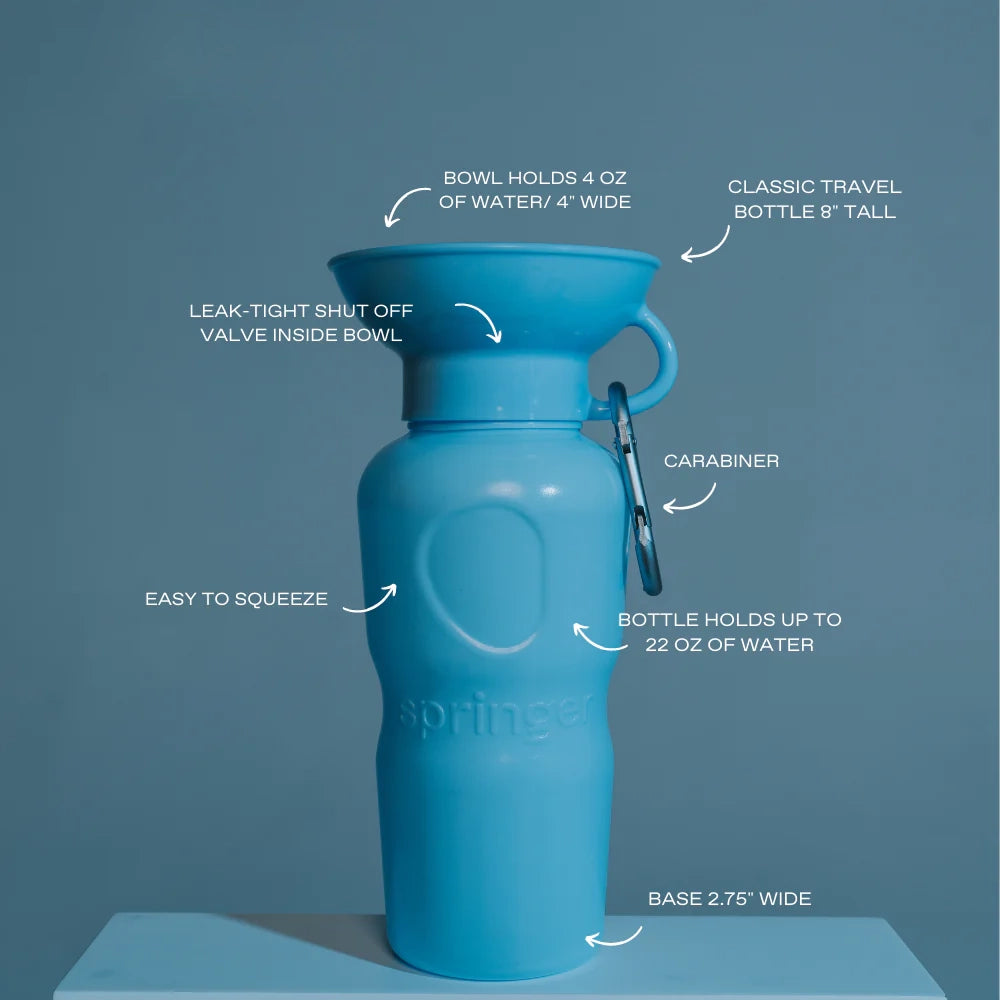 Travel Water Bottle - Sky Blue