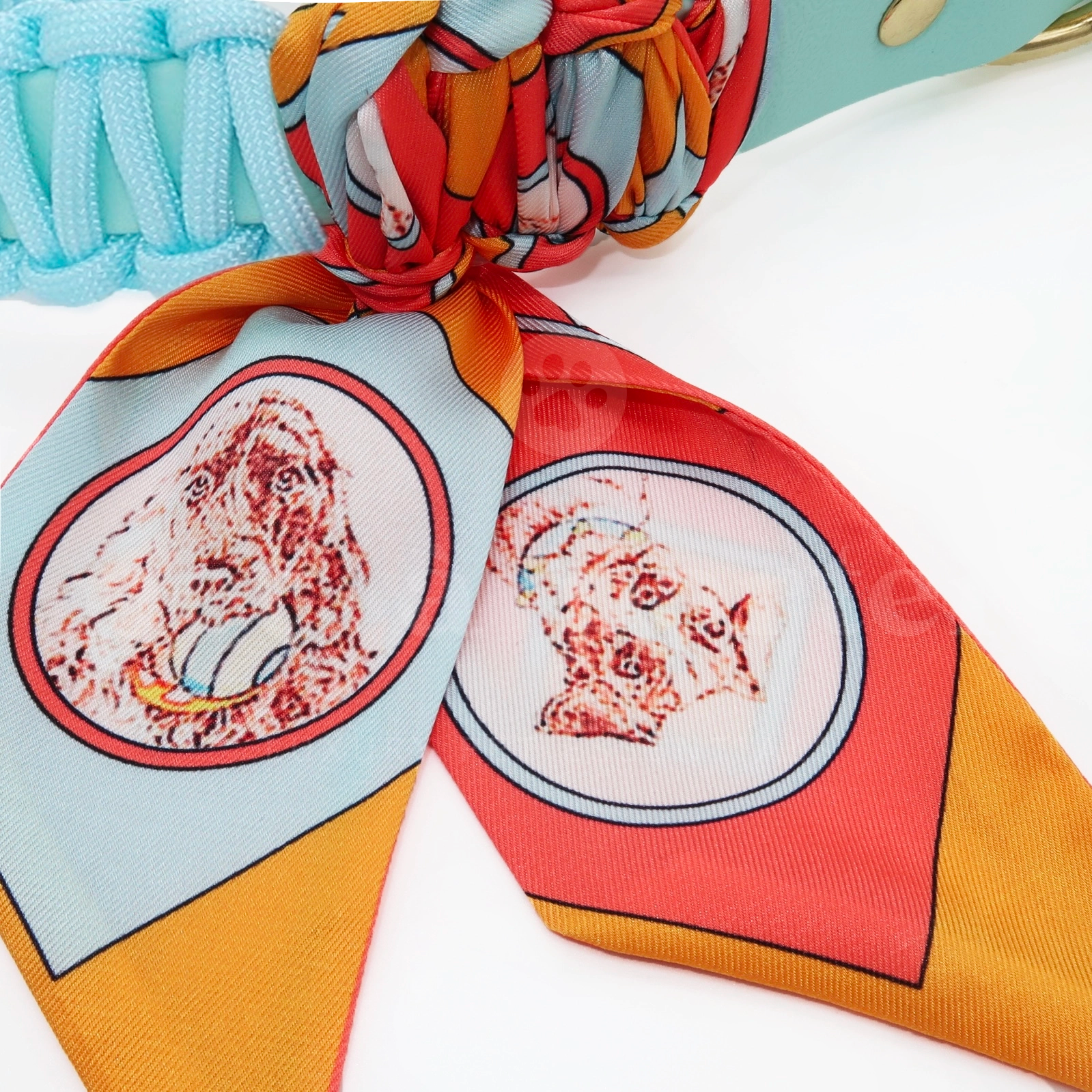 Foulie Collar | Amalfi Pup