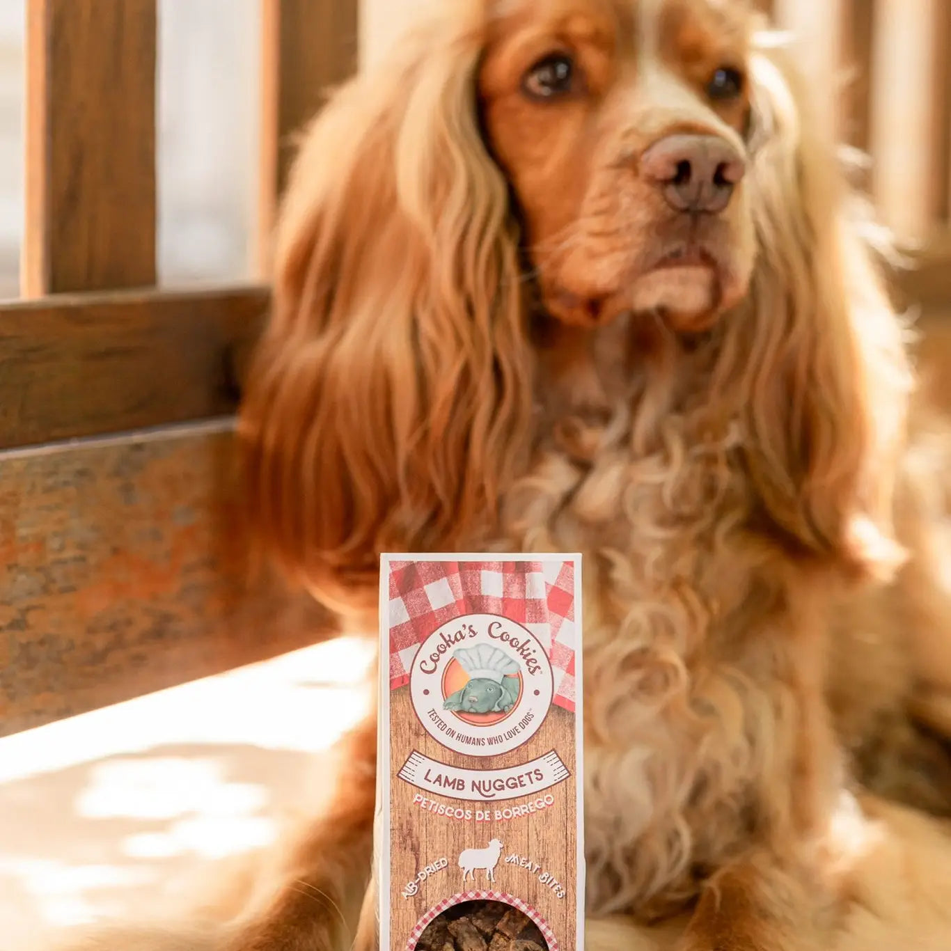 Lamb Nuggets | Air-Dried Meat Bites