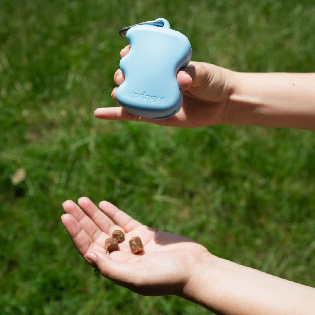 Silicone Dog Treat Dispenser - Sky Blue