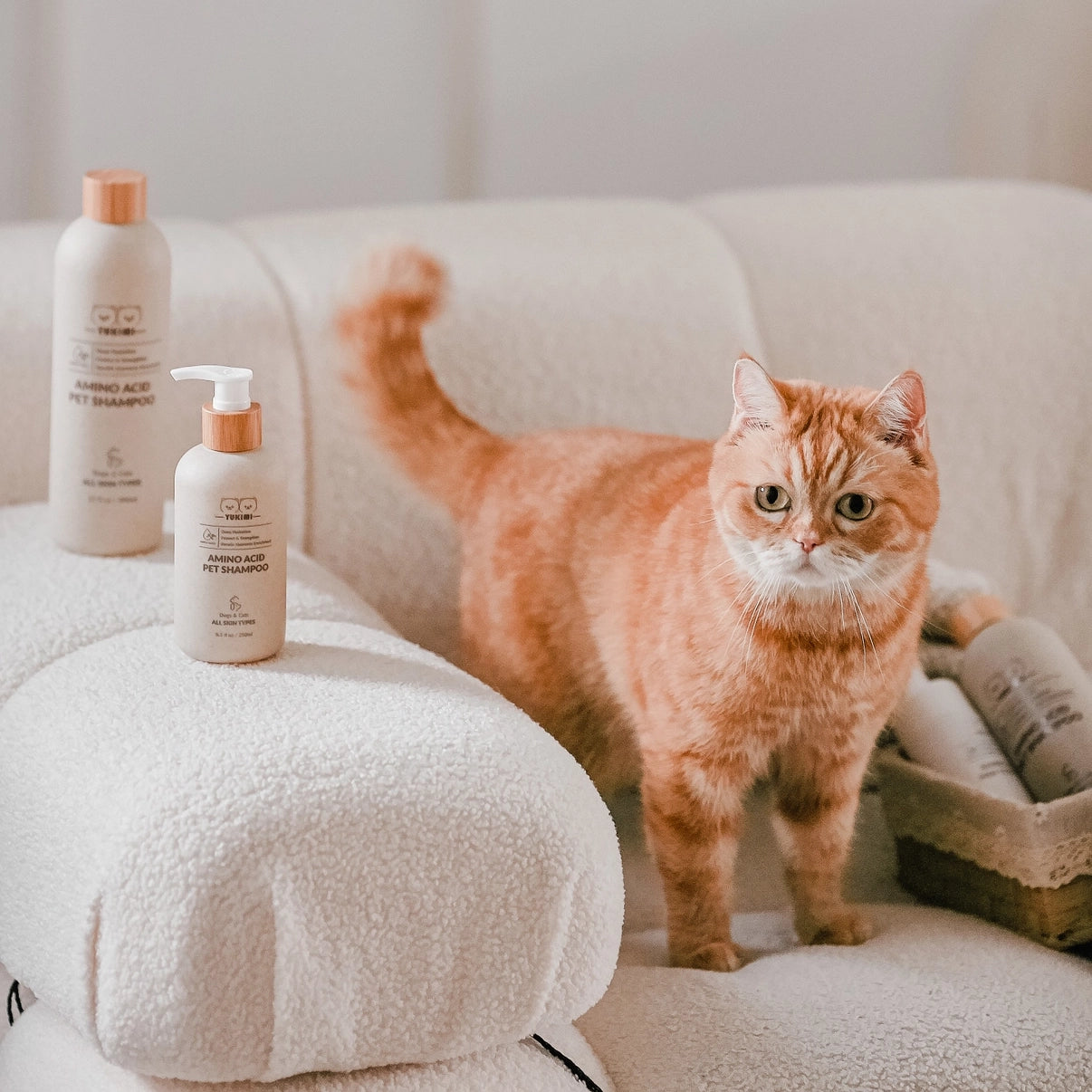 Amino Acid Pet Shampoo