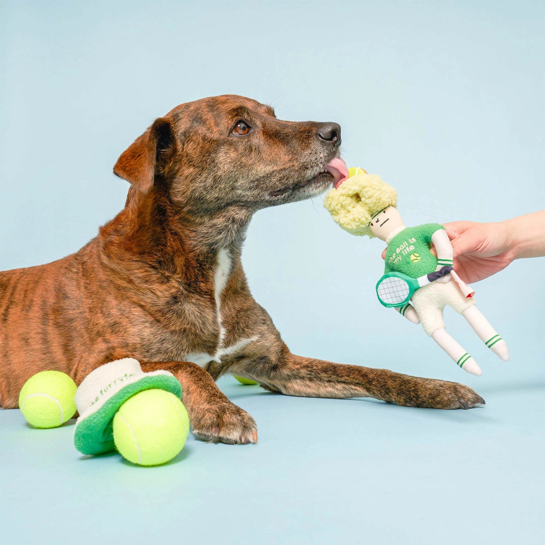 Hooman Nosework Toy - Tennis