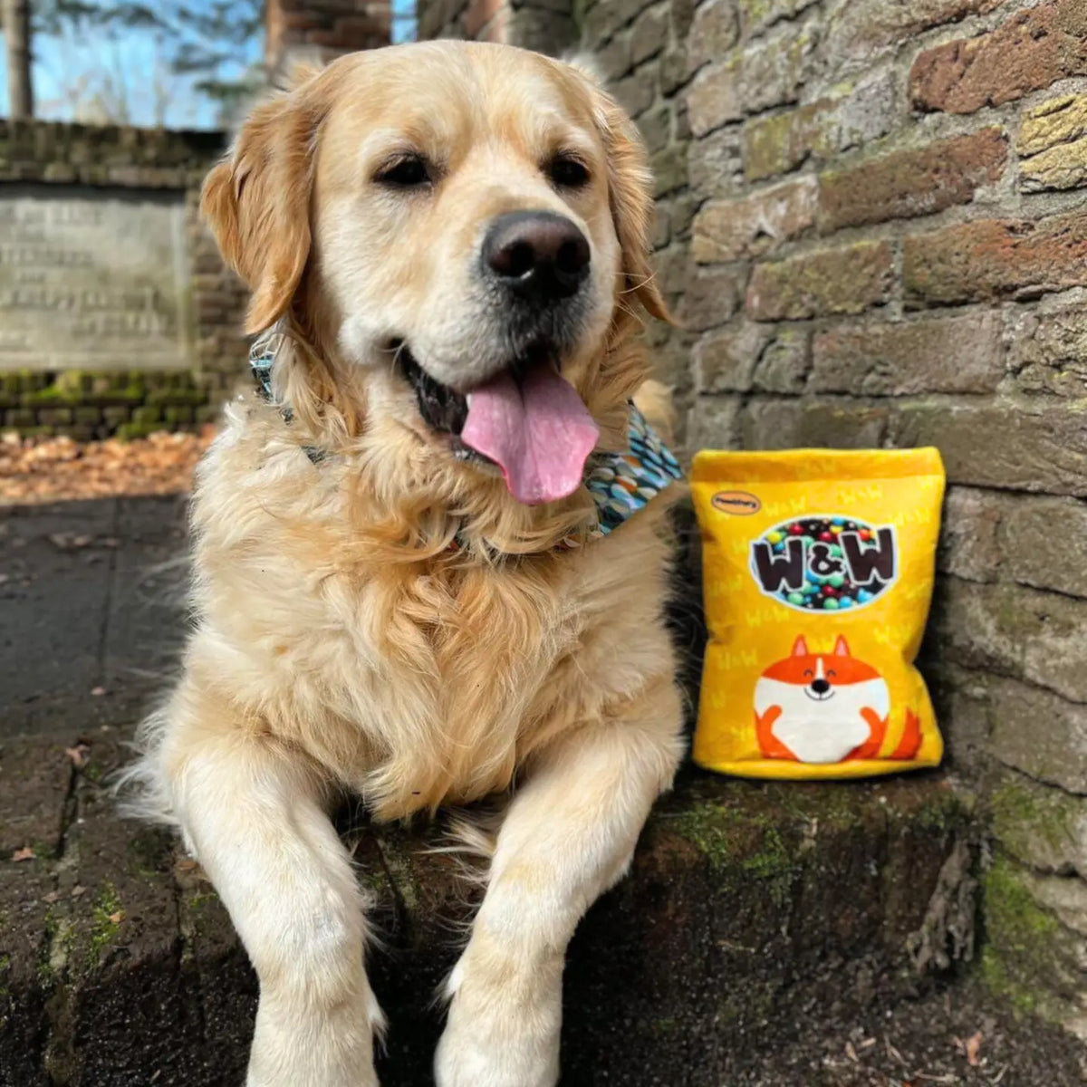 Choco Delight Snuffle Toy