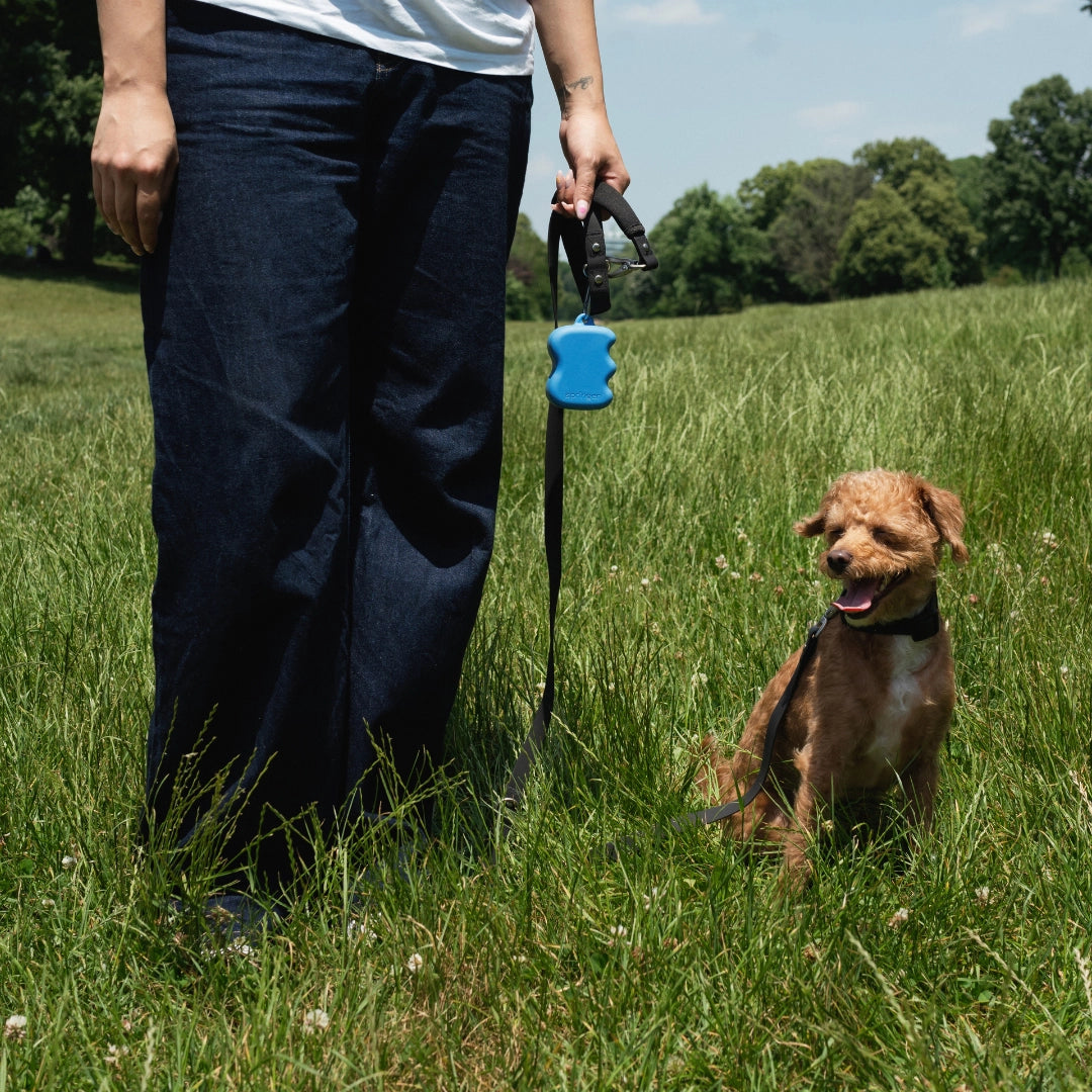 Silicone Dog Treat Dispenser - Blueberry