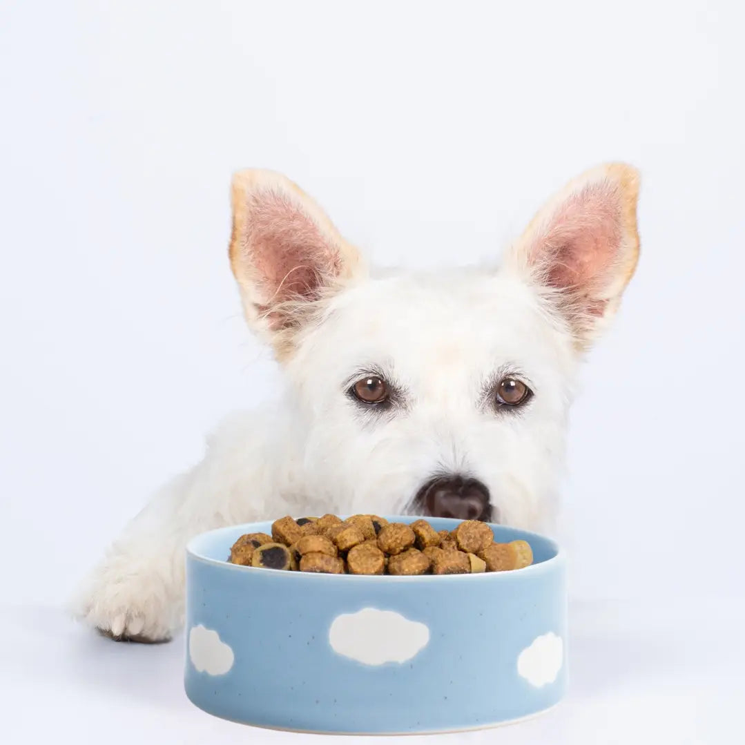 Stoneware Cloud Bowl