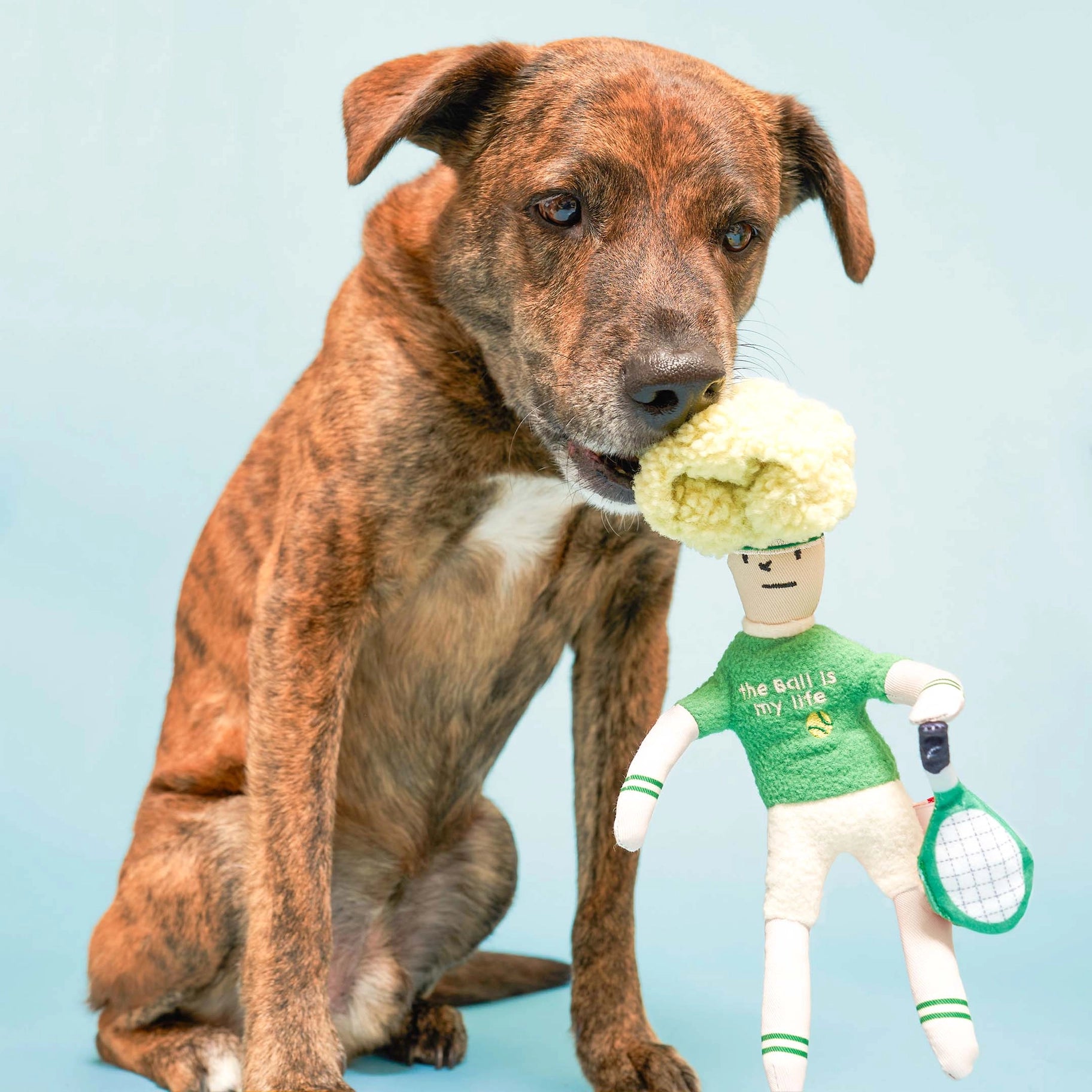 Hooman Nosework Toy - Tennis